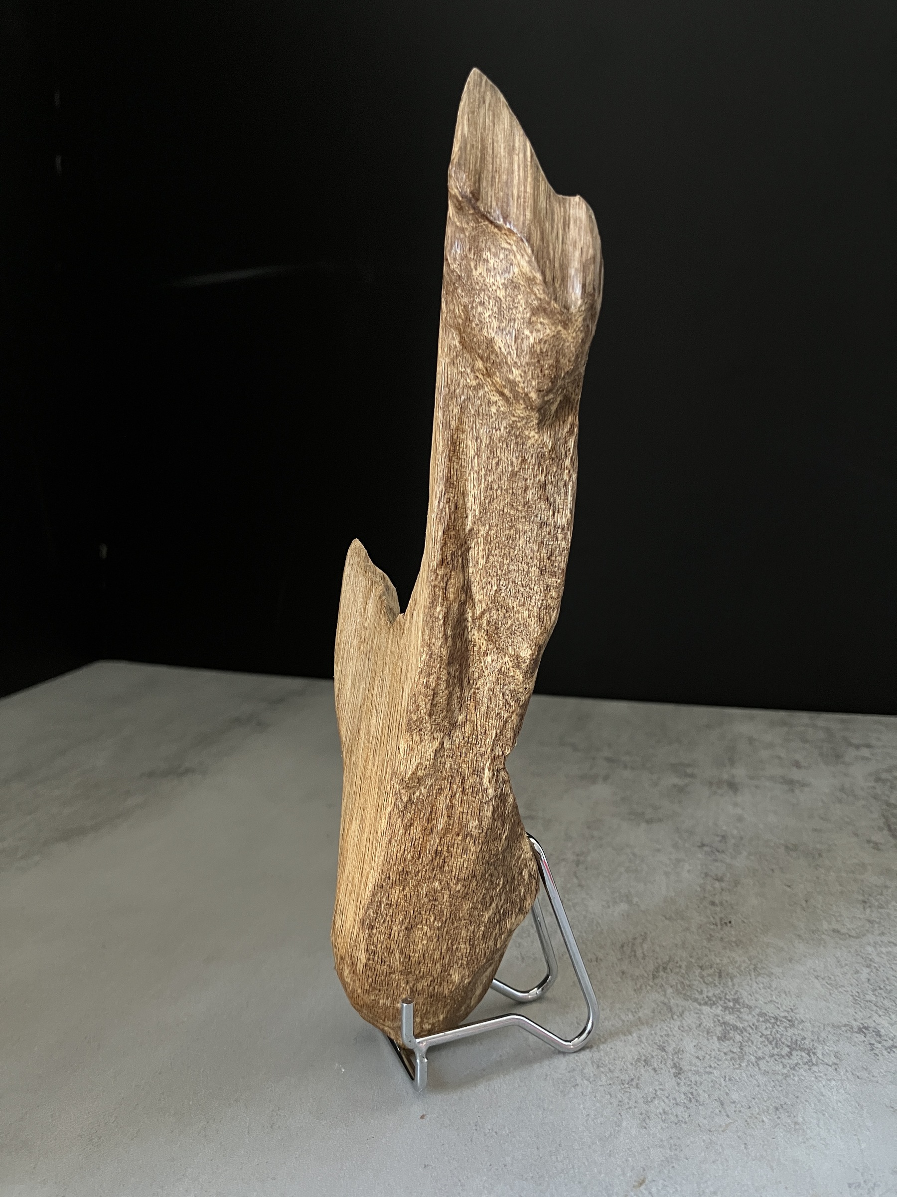 image_ED7F487D-91B0-41F7-8221-2594AEF032E6_1767767406