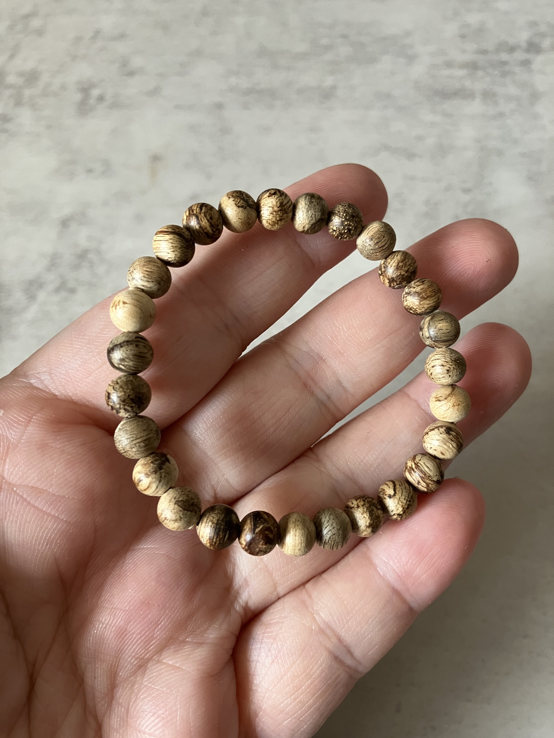 image_623334AA-D27B-43B1-B48A-755EF1A6085C_1769498489