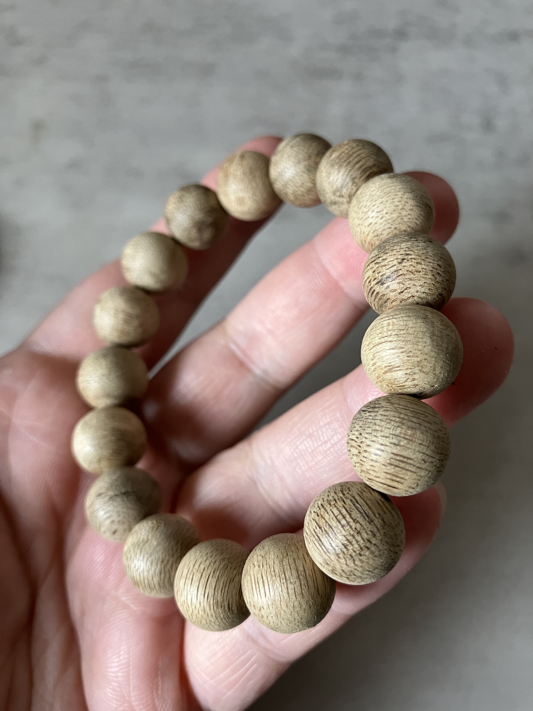 image_DCDA2F6F-B7EA-4828-9D18-4D7AFECB67E3_1769498585