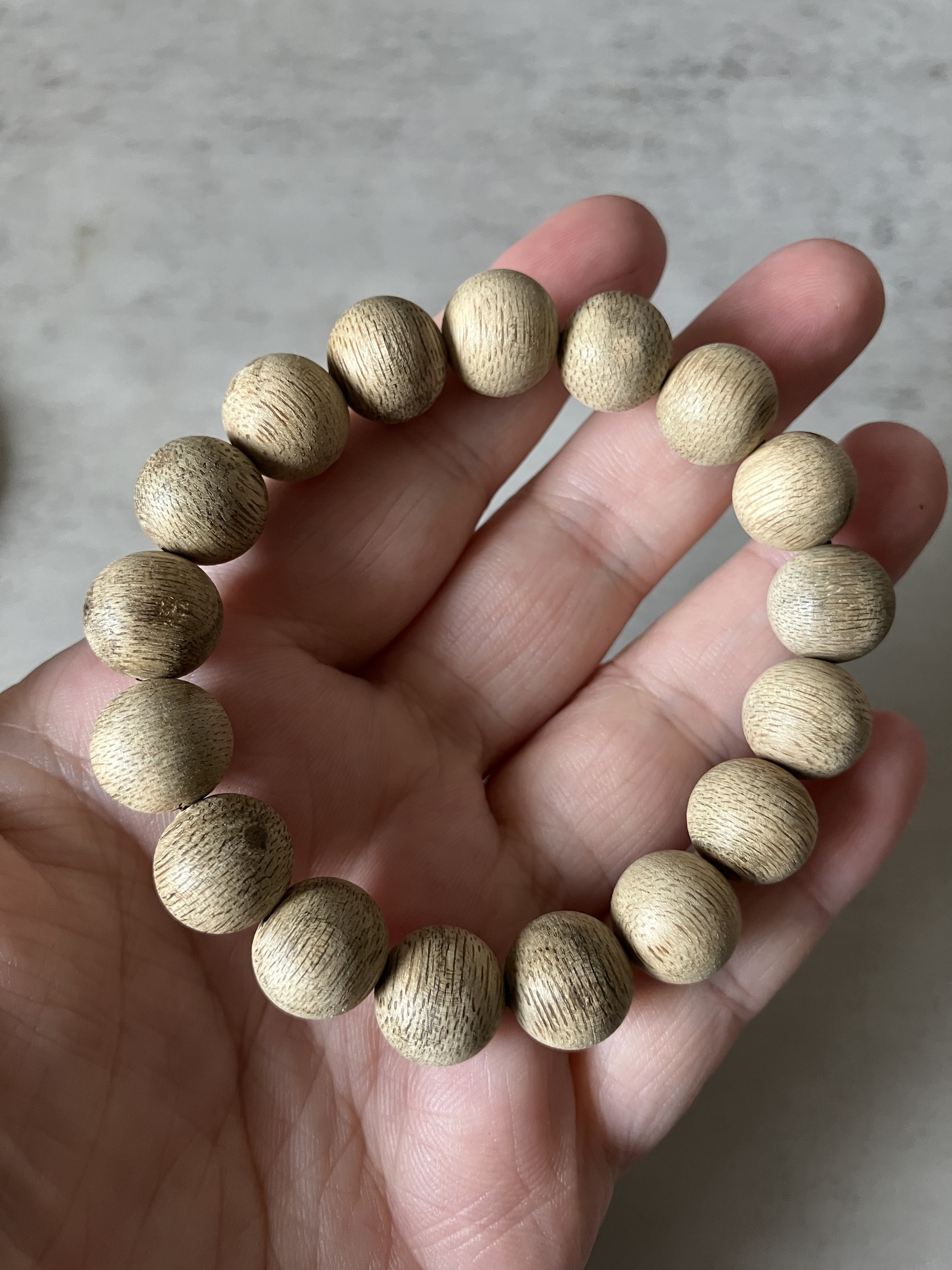 image_56186B04-C4CF-43ED-8D64-02E4CFF611E4_1769498585