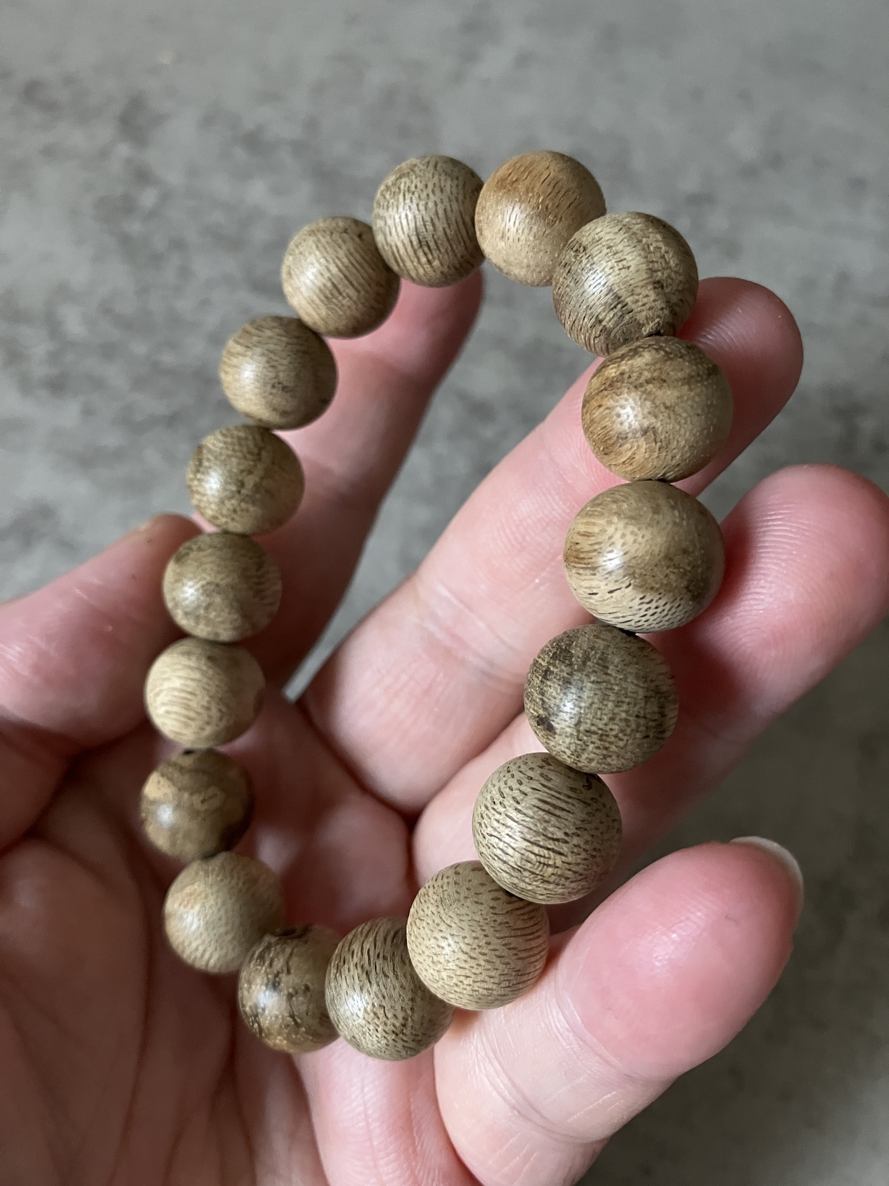 image_AF817758-686E-4A57-8F18-A0CCB75F49C1_1769584446