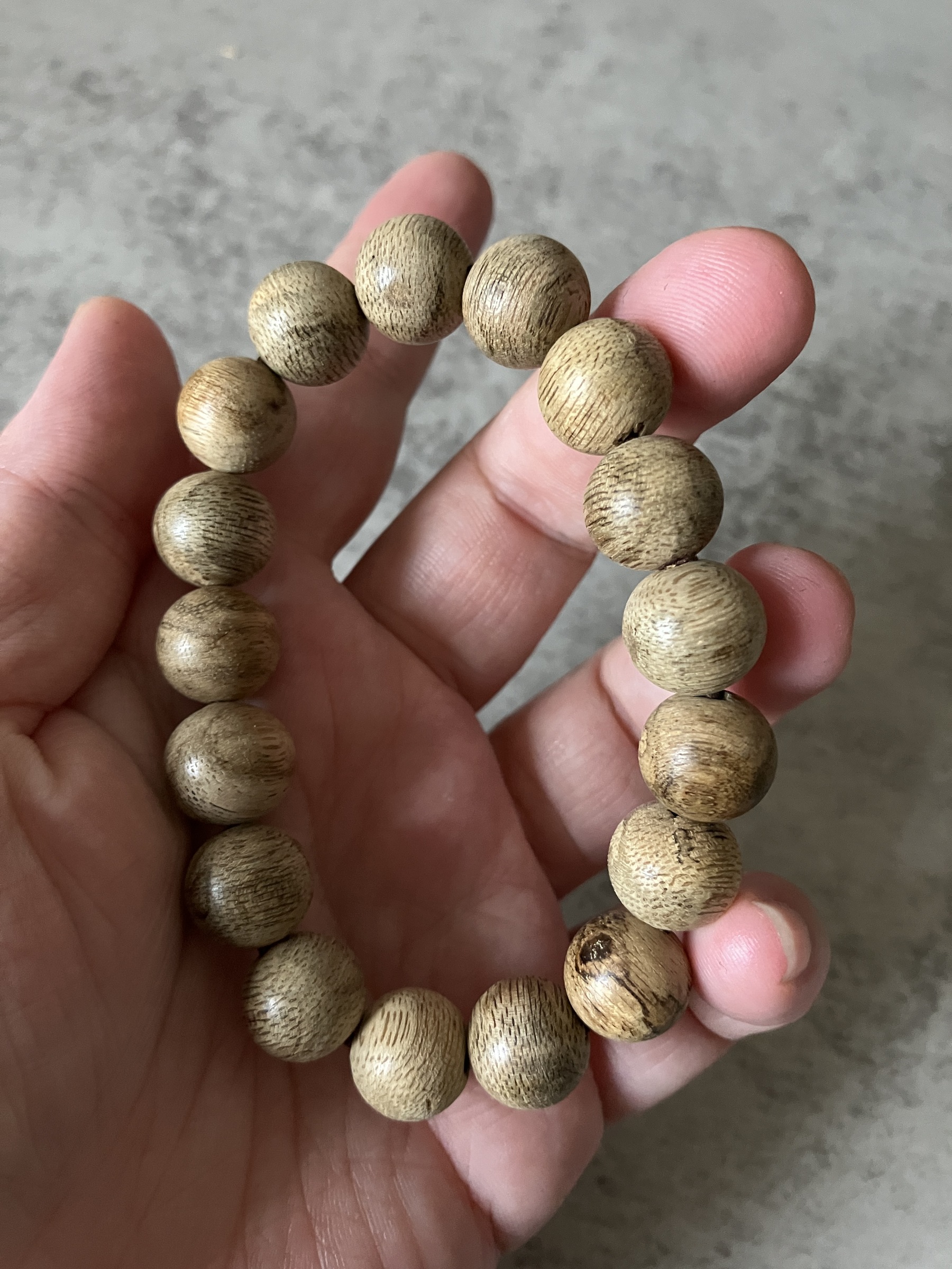 image_666BE905-F1E6-49C5-BC86-D915E90A3D78_1769584447