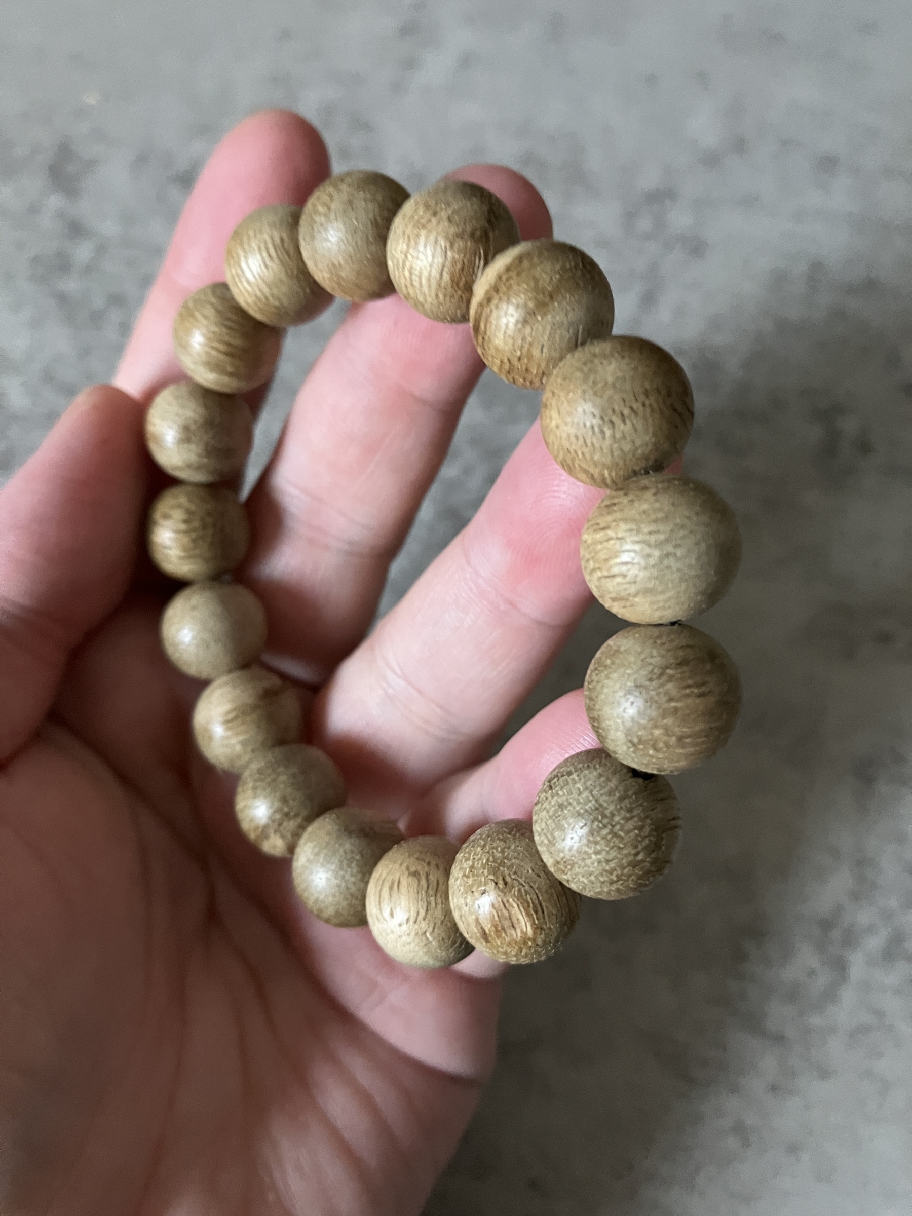 image_44E5B454-970B-4260-B8A2-ED170A372277_1769584527