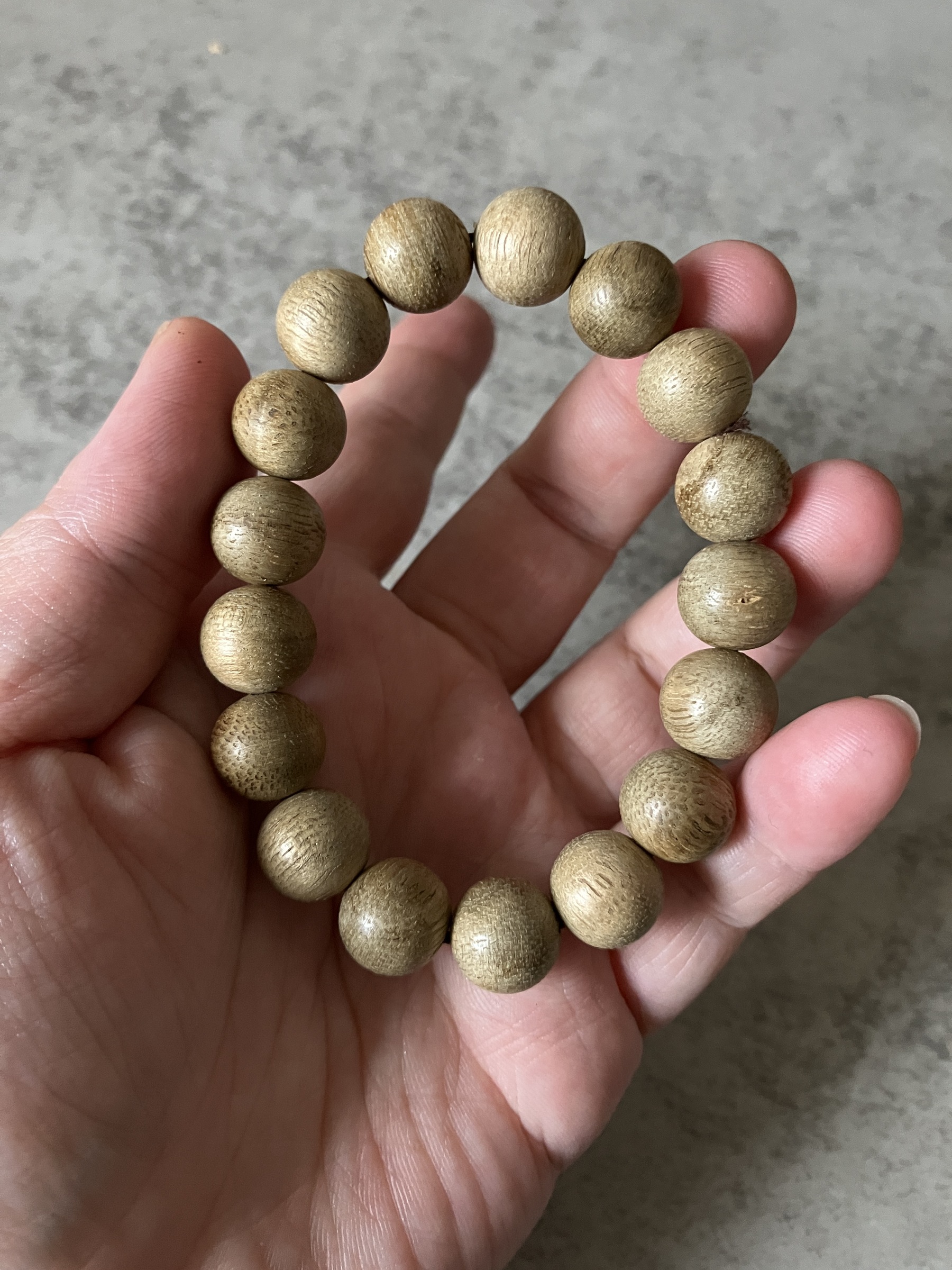 image_77451373-0E6F-4E48-AD84-D7C77077E65C_1769584527