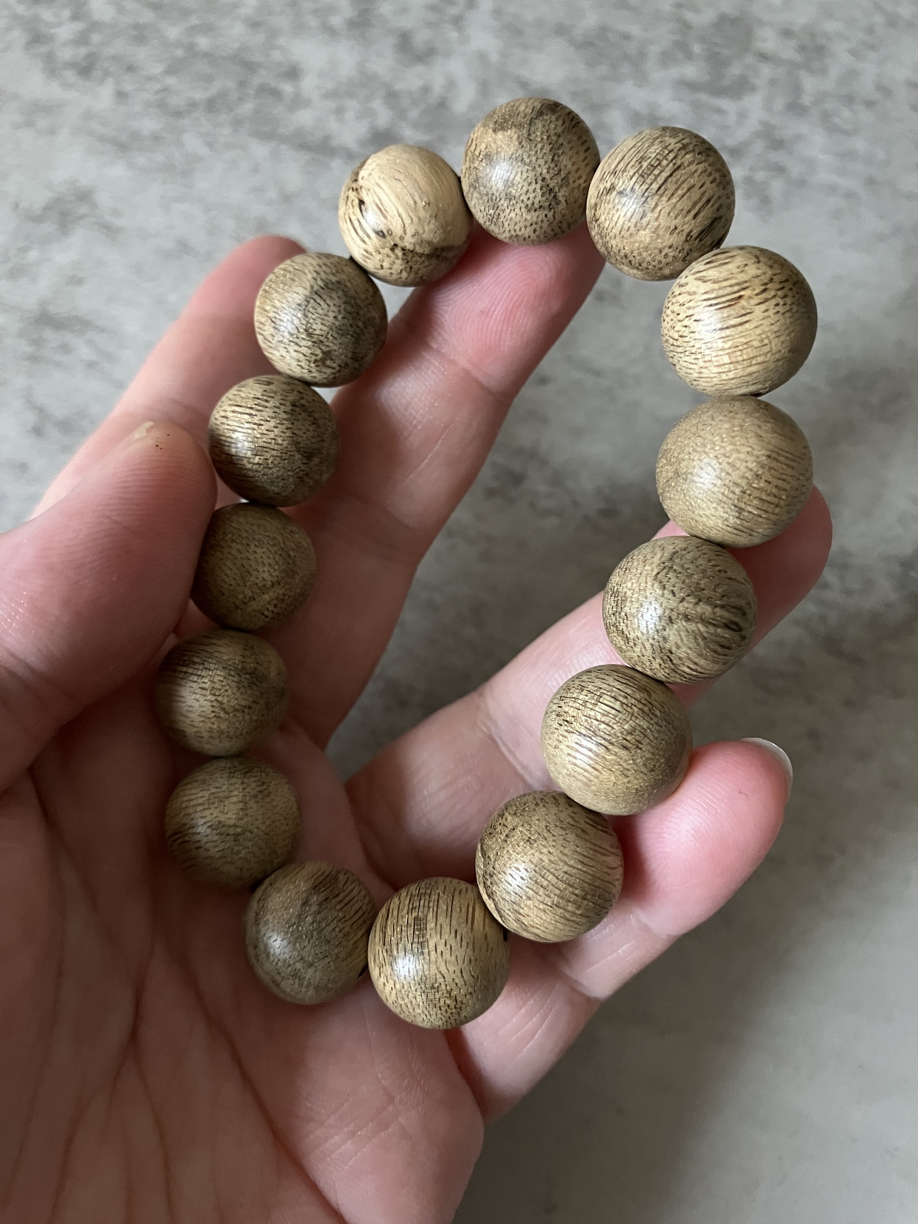 image_E5FE0809-1D95-43F2-ABAD-A86FDC9279AB_1769584595