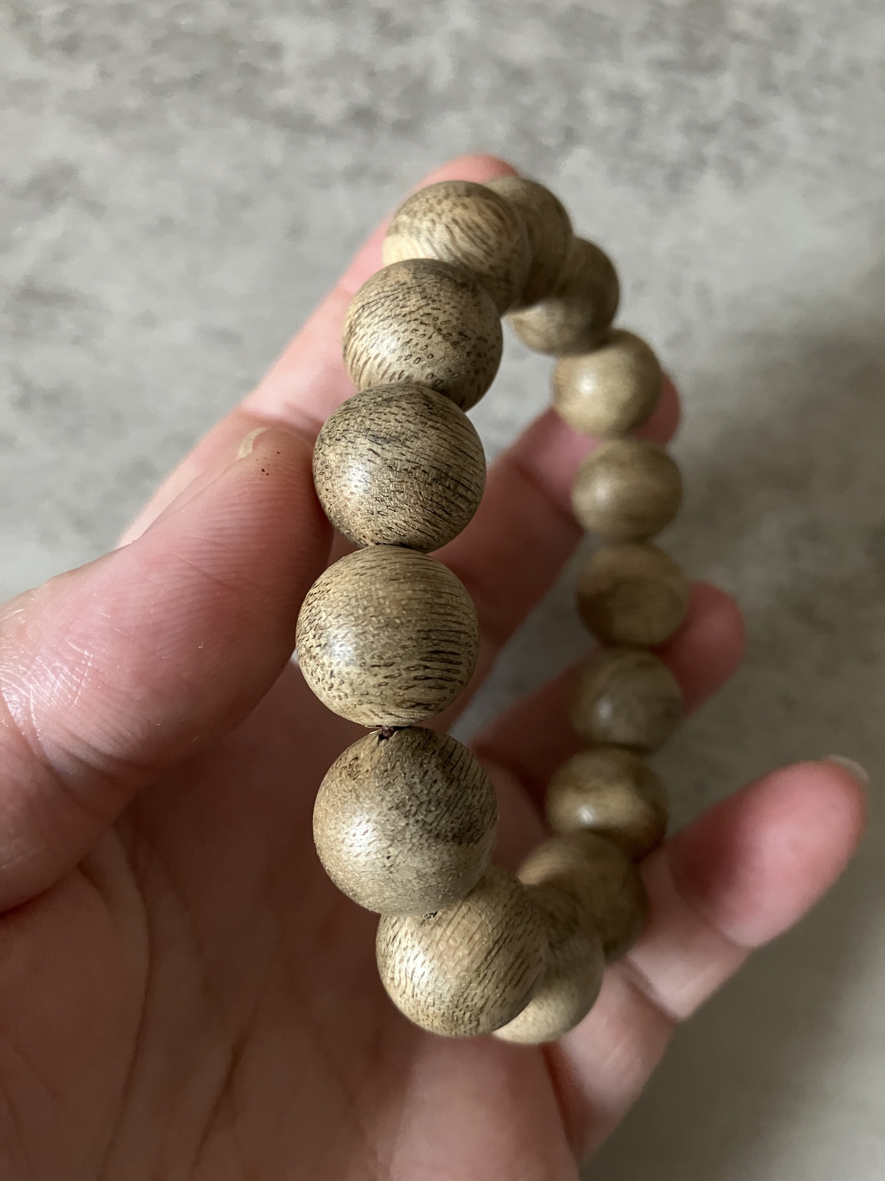 image_7F365042-9876-474F-83A6-52E0521CC87C_1769584596