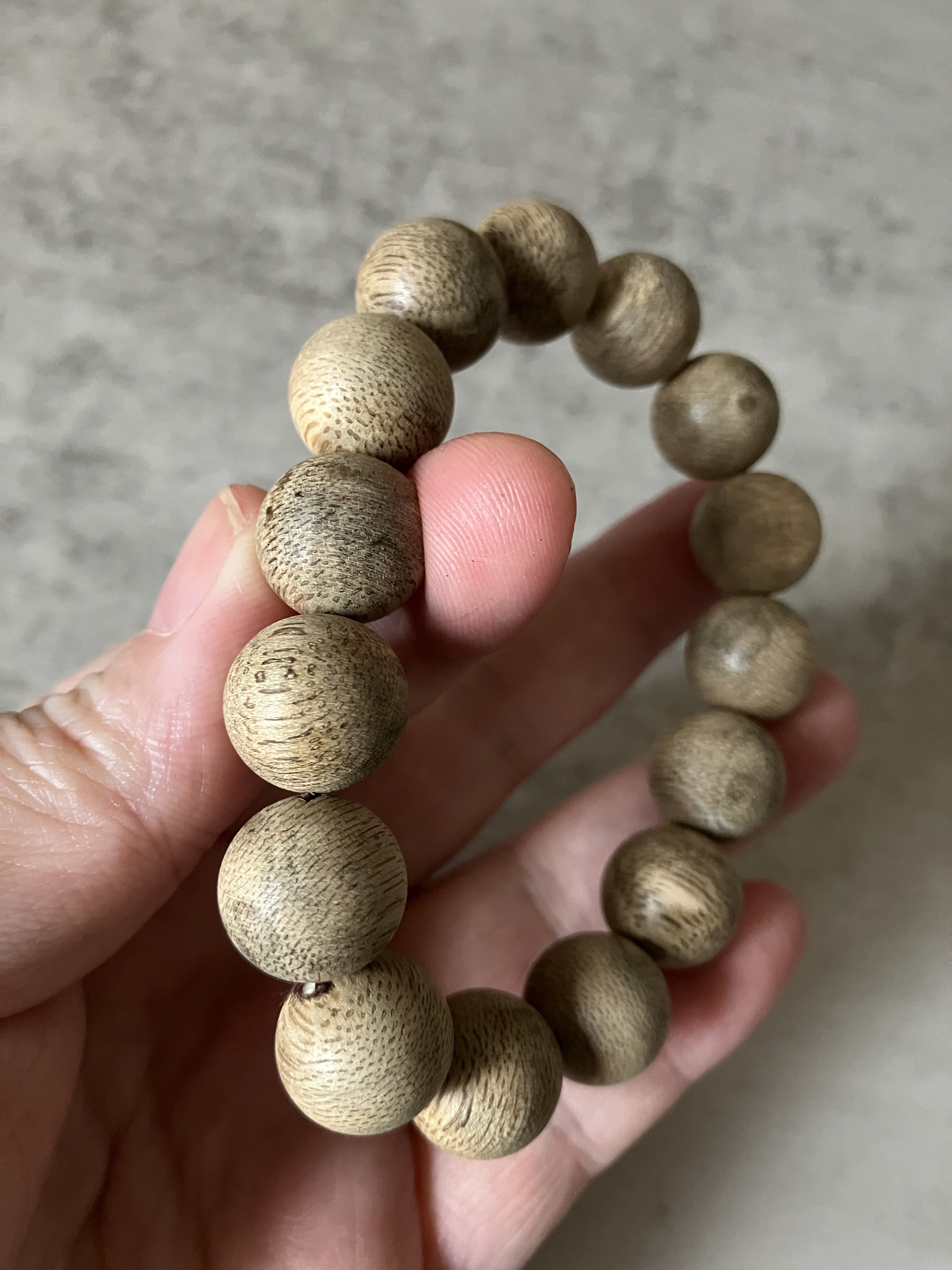 image_4DF42225-A811-4931-900A-DE0E8B6A0BFF_1769584702