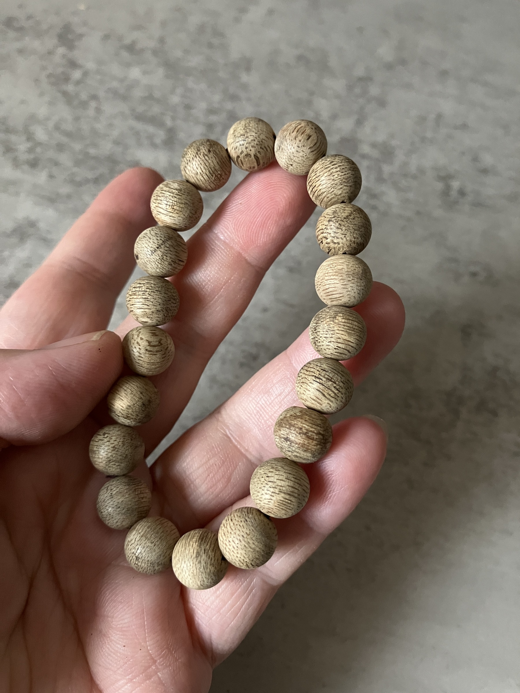 image_FCA514D5-053C-4B4F-8D63-D6E6CA7941BD_1769584786