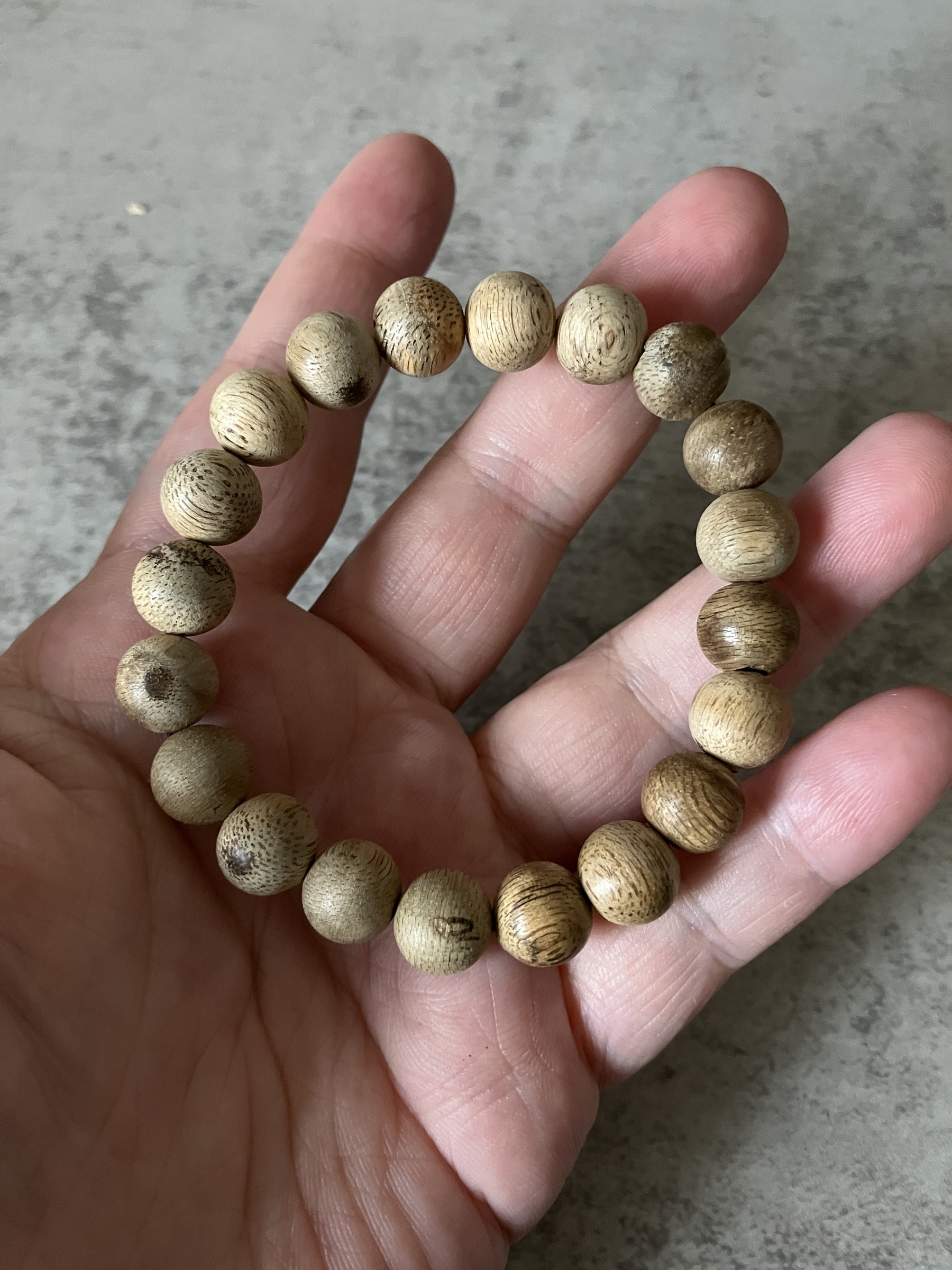 image_2967AD82-DE71-4AB3-AEC6-E4C3877C73A1_1769584885