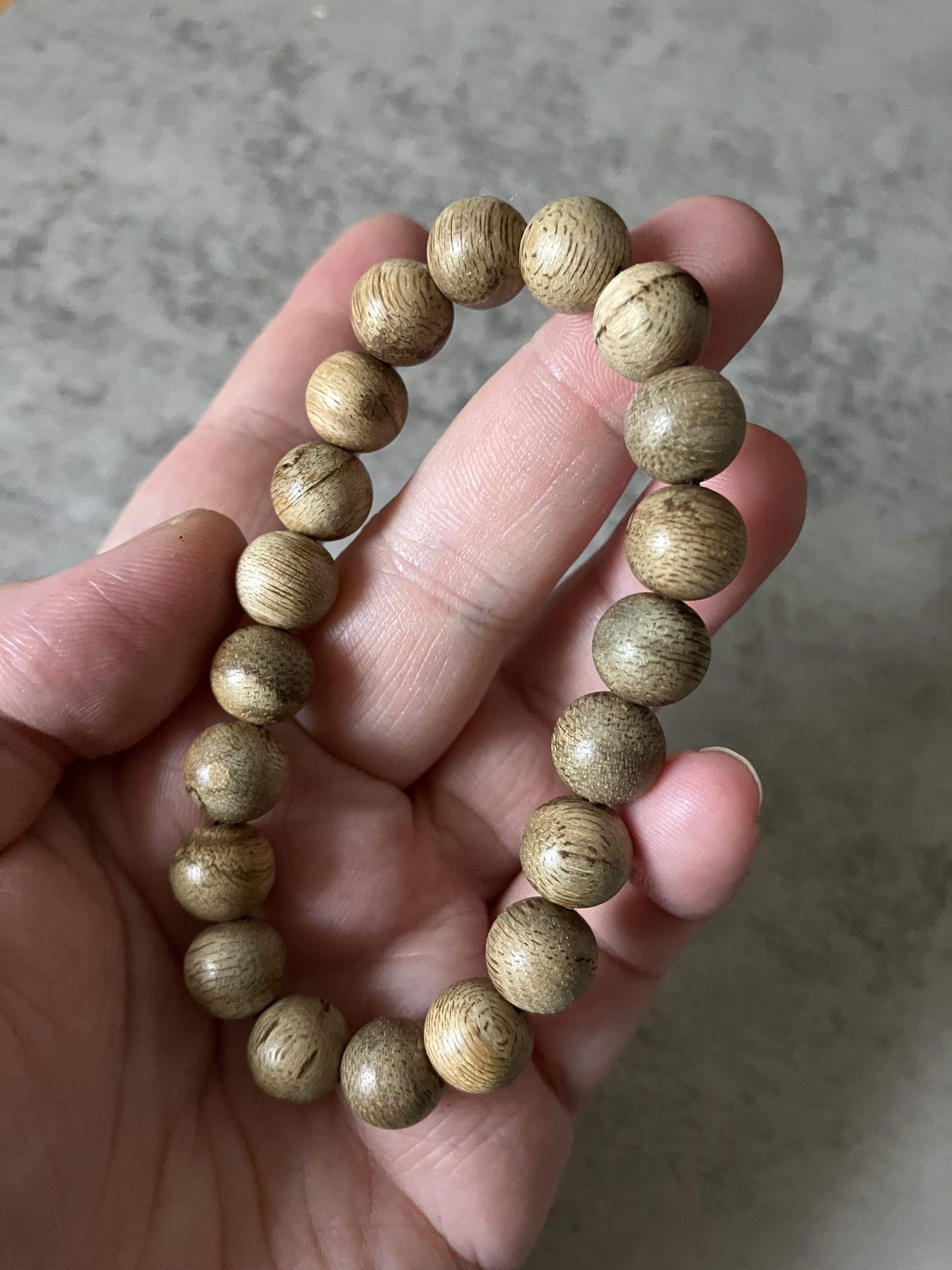 image_056AA4BF-1F65-47EC-9A17-EE1EE4EDA3A2_1769585081