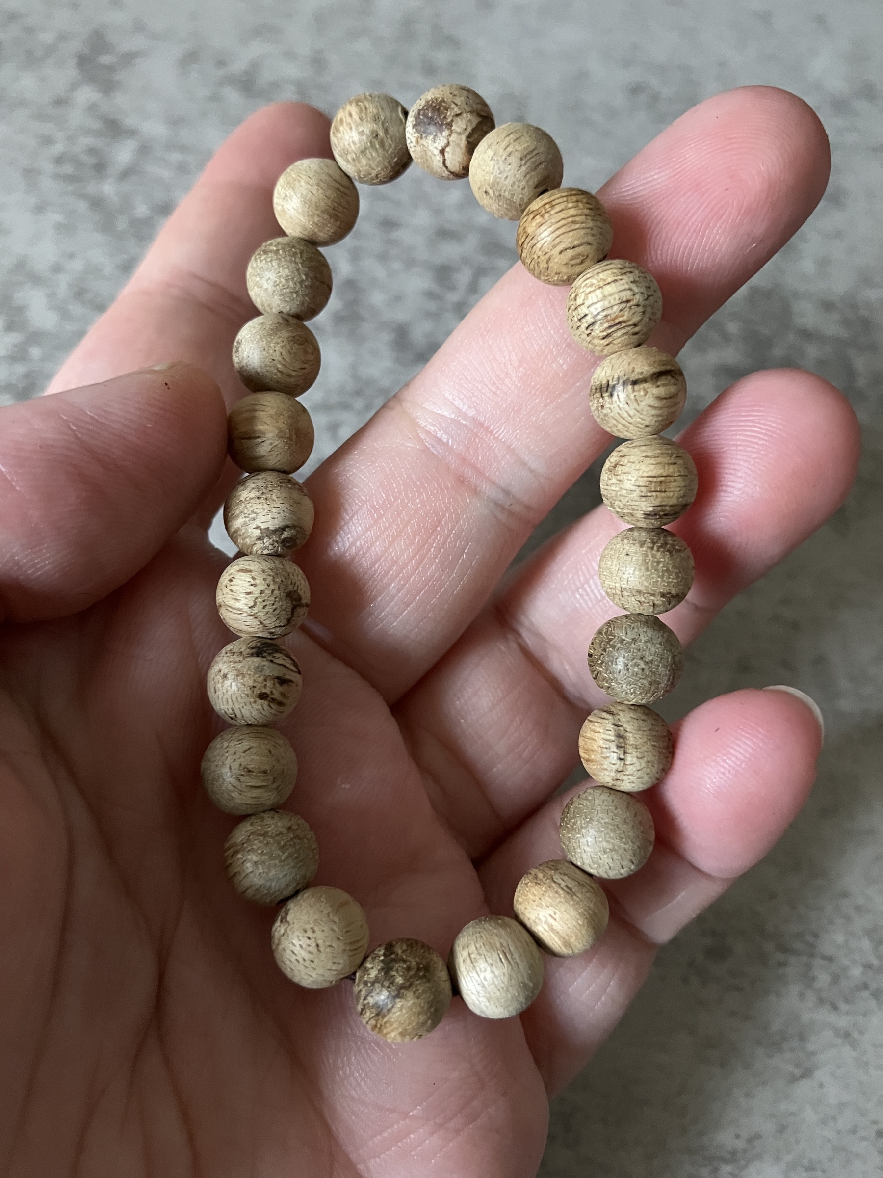 image_40A721E0-5471-4302-A788-EC2013D60E02_1769585328