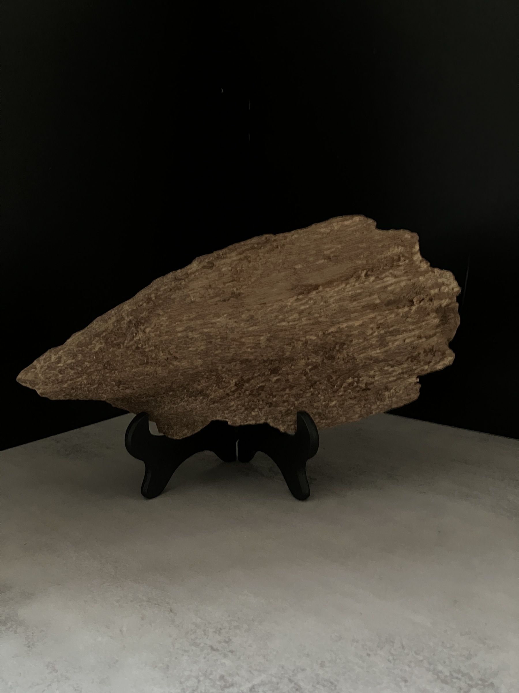 image_8CC4F9B8-75A0-477B-BC90-639E1320C2BE_1770101677