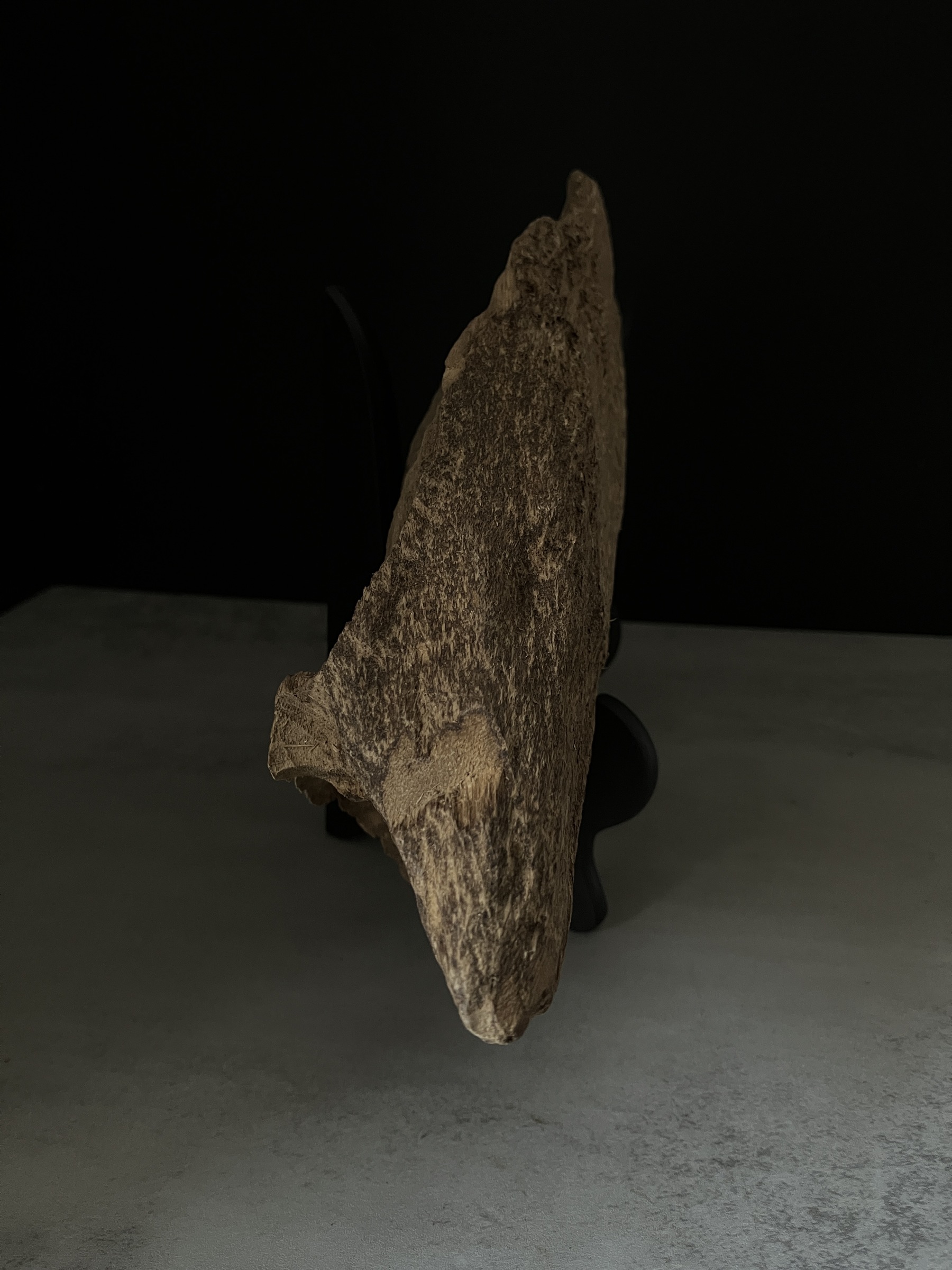 image_46B3BD7F-436B-48C4-8BD1-EFBA95957A93_1770101677