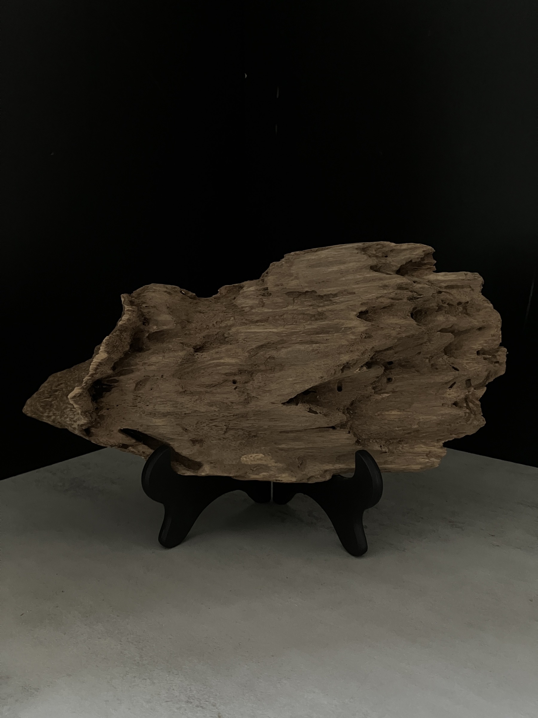 image_B246E03F-FC36-44F4-A331-917CC6E95A78_1770101677