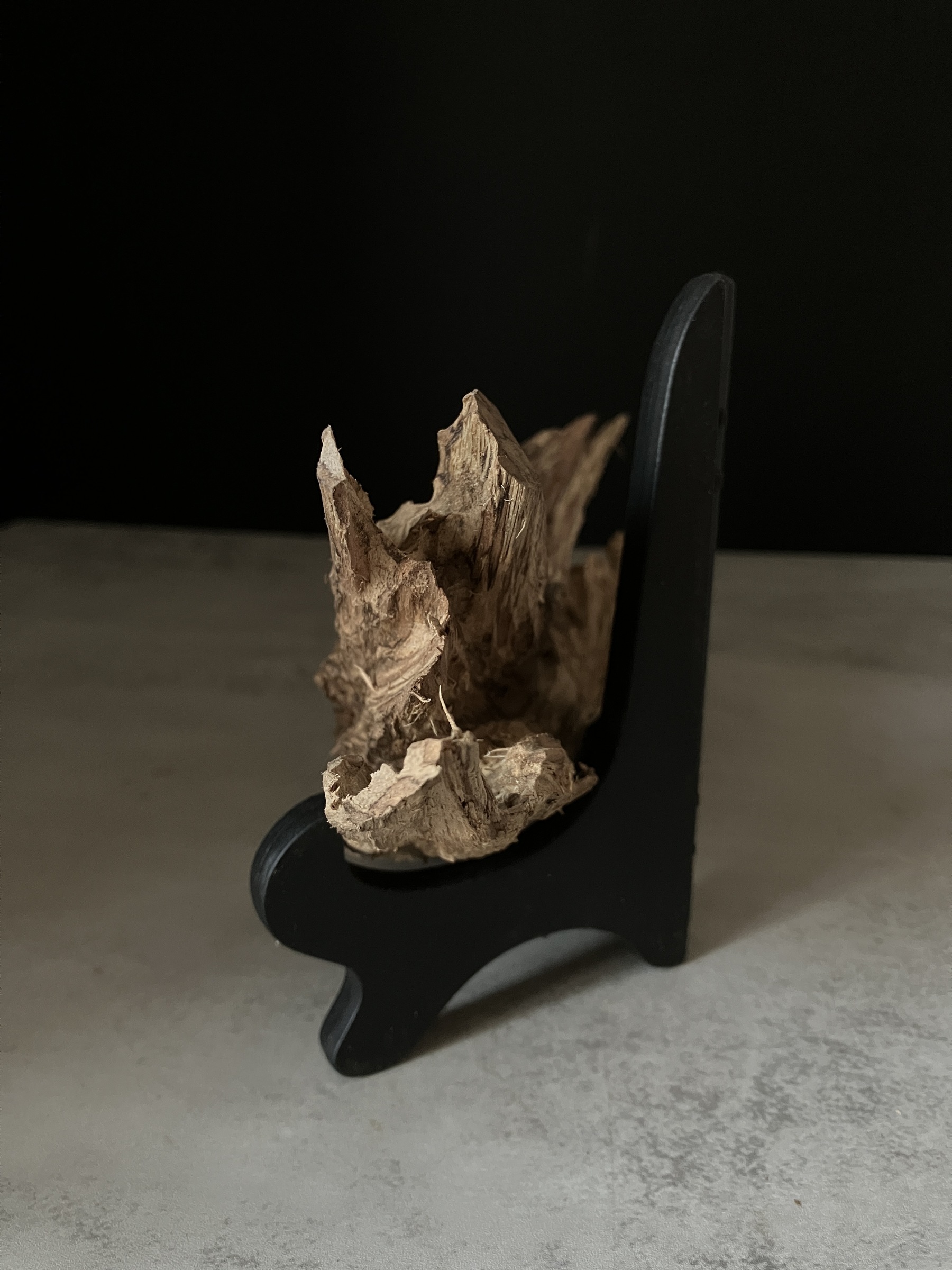 image_78C7BCA3-FEEC-4362-99AF-4E875BE30478_1770101768