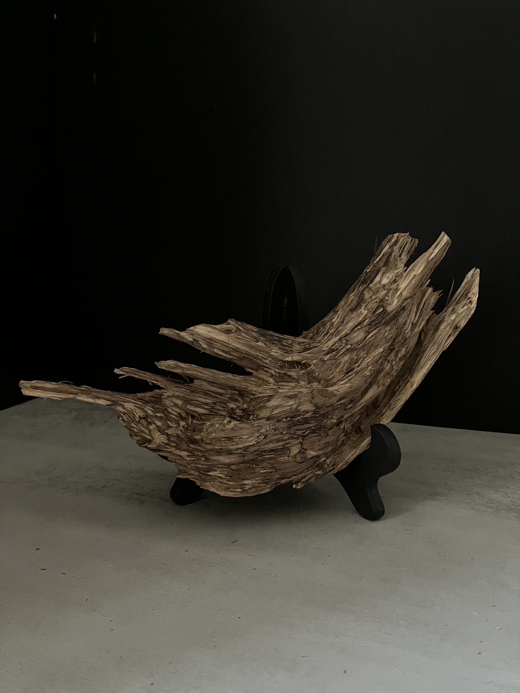 image_9FAEA68F-9AD1-46BE-BD02-F82792931AFA_1770101768