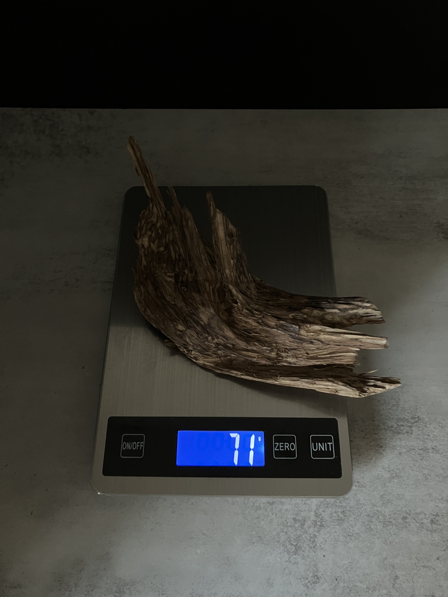 image_743B5426-6B88-4AC2-A303-4BD393623074_1770101768