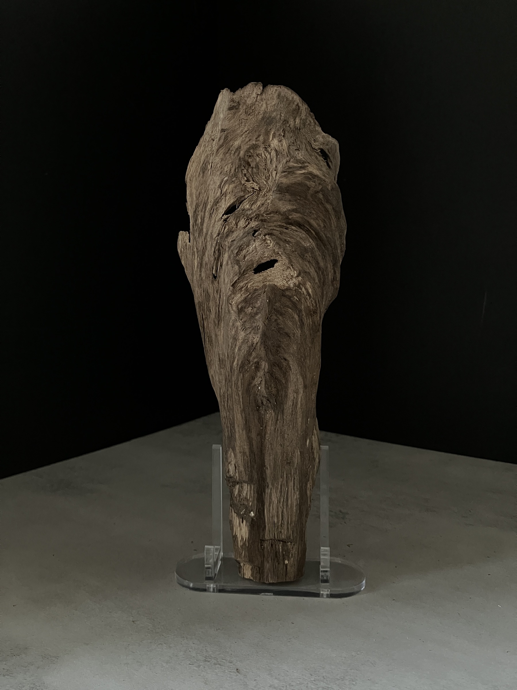 image_D65EB7E2-F57A-44A2-853F-75E3426B08D9_1770101891