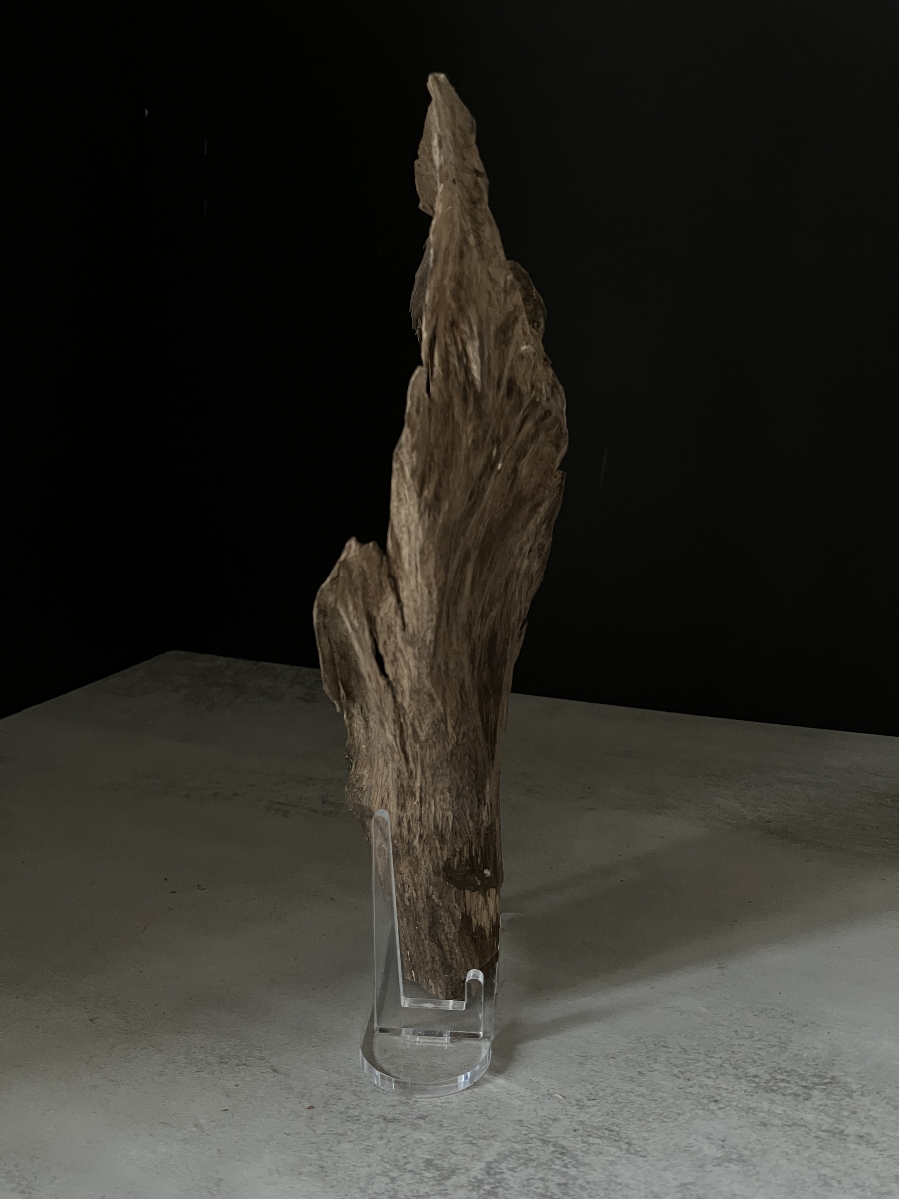 image_406C31E0-7286-4DE6-8077-E482C7A03B4B_1770101891