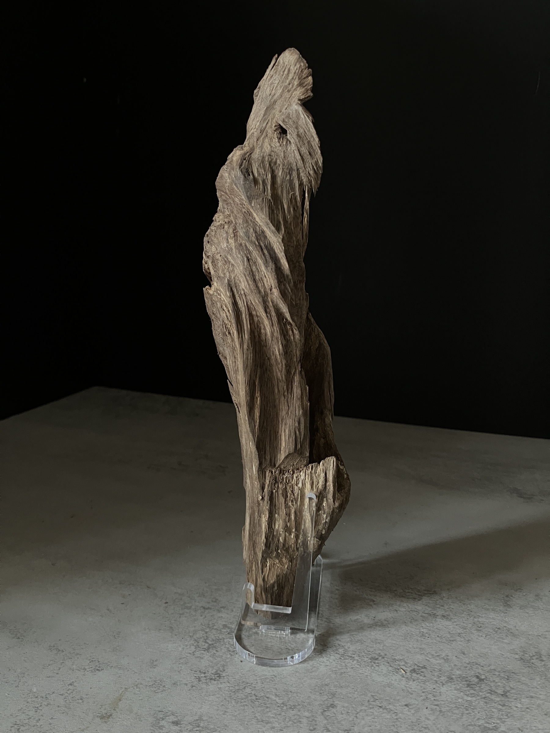 image_7420EC92-4F28-456D-9524-56859BDBAB4B_1770101892