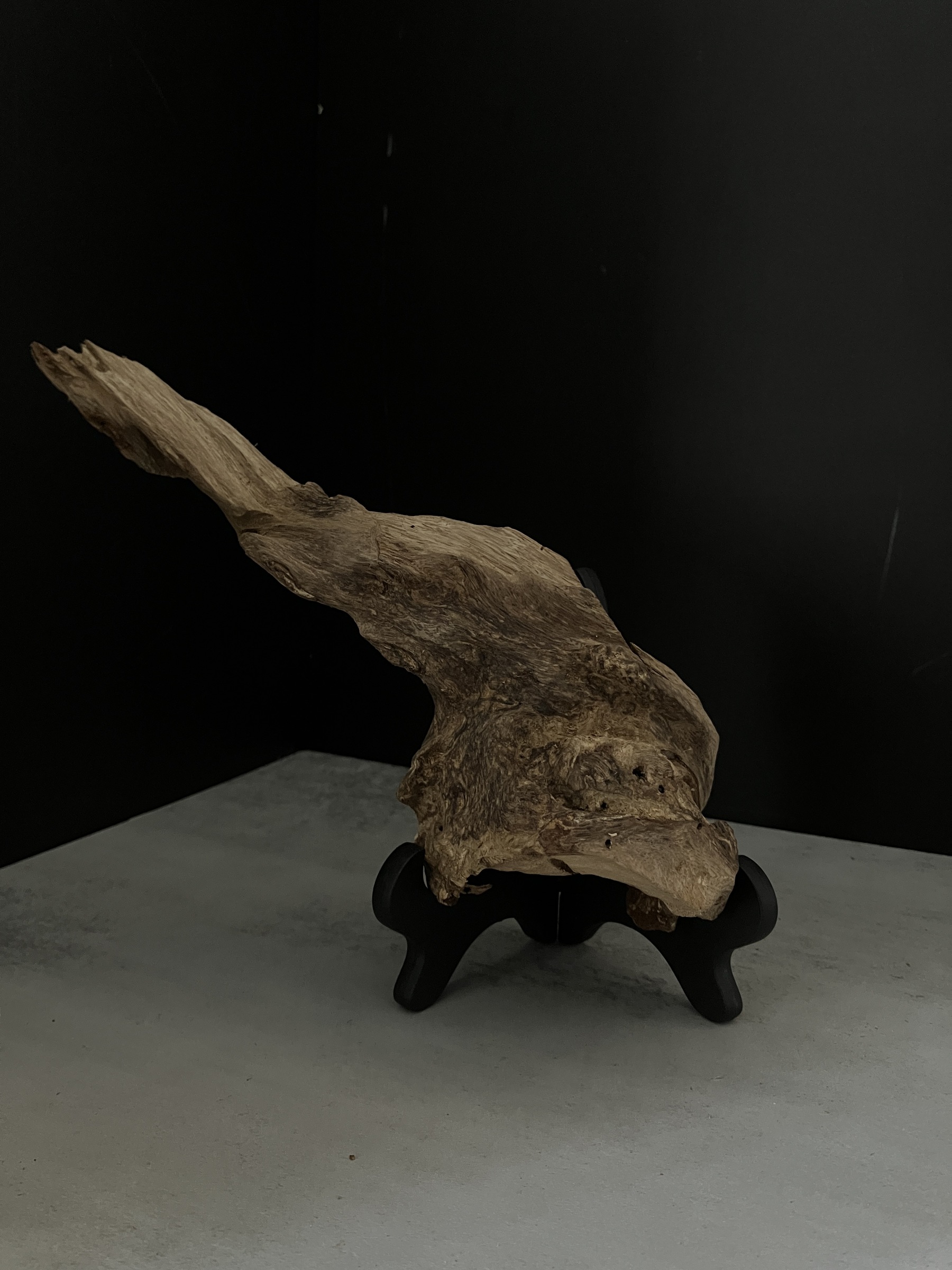 image_A95E7FB9-D2BB-416D-9662-E9DC0EFF5EDA_1770101975