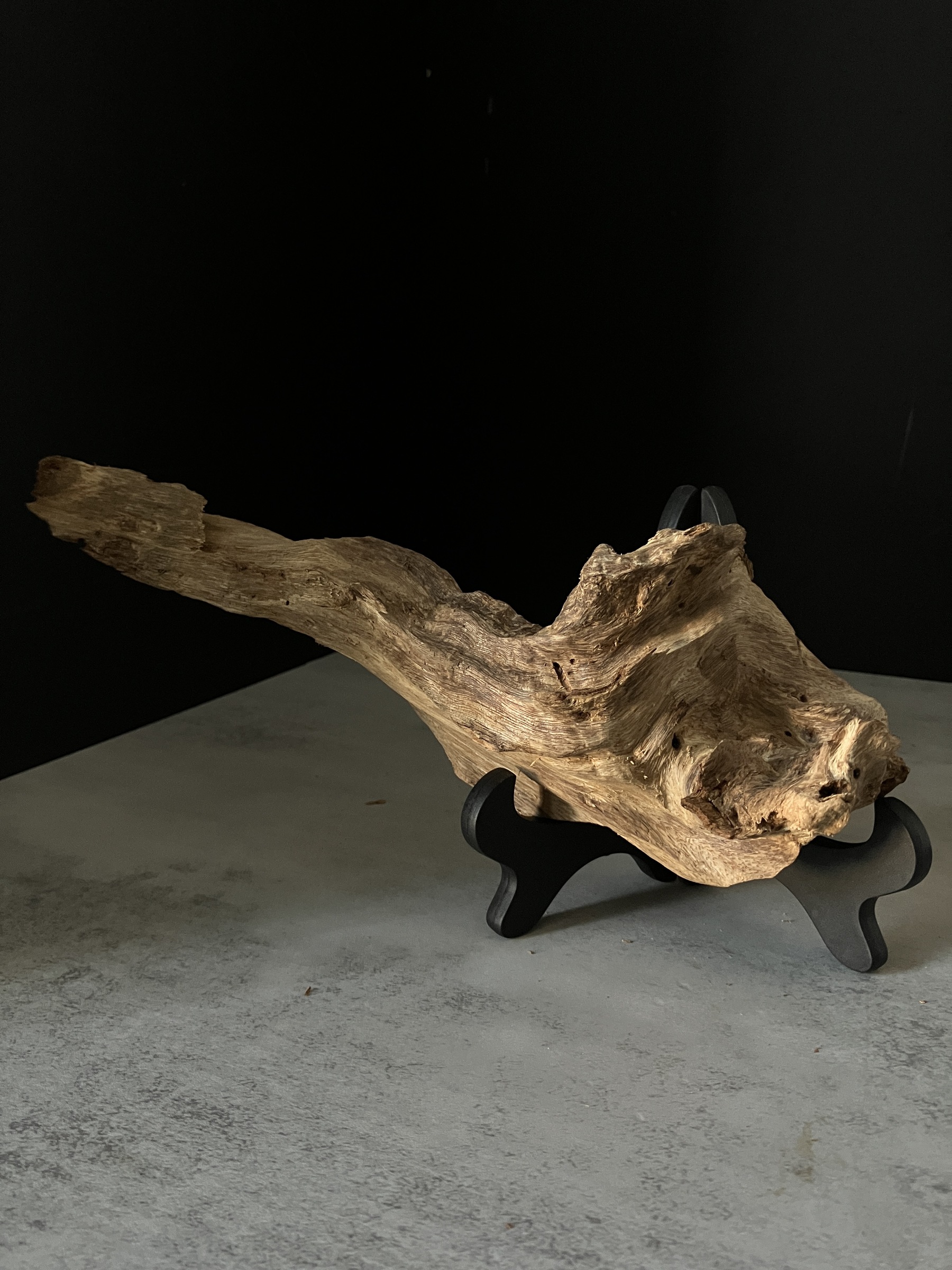 image_D8C539F9-A627-44A8-9BE2-797A7E1D397C_1770101975