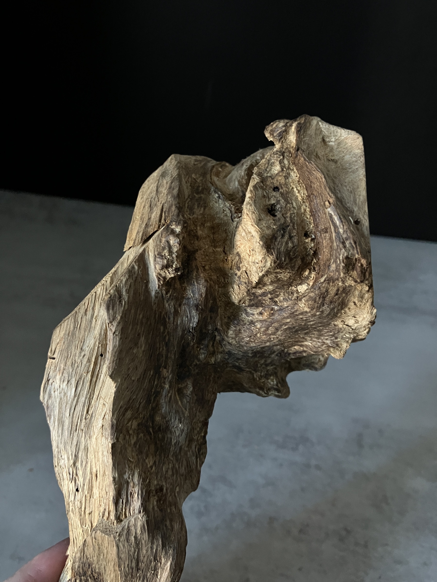 image_1575FCB3-8D4C-4A58-BD79-98731E782FB4_1770101975