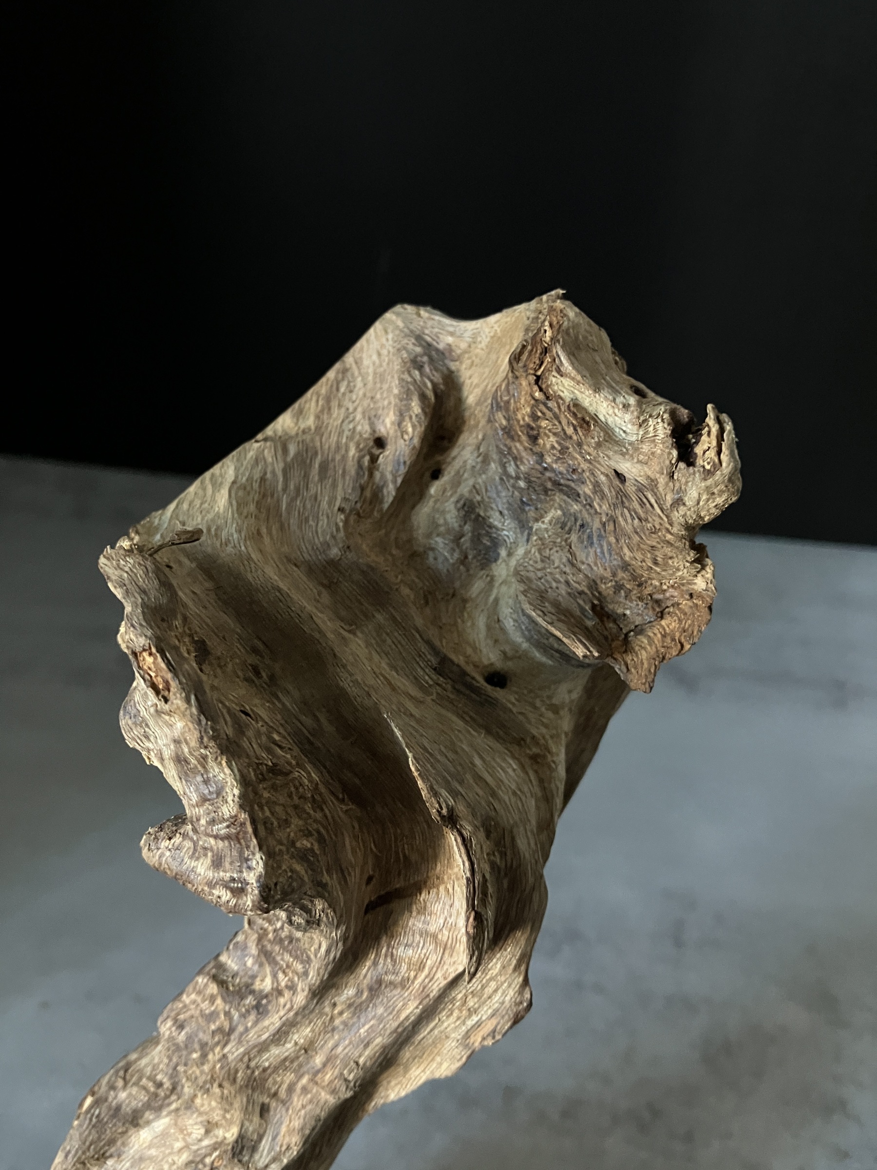 image_6000E52C-5E7C-4A15-9905-24407EC839AA_1770101975