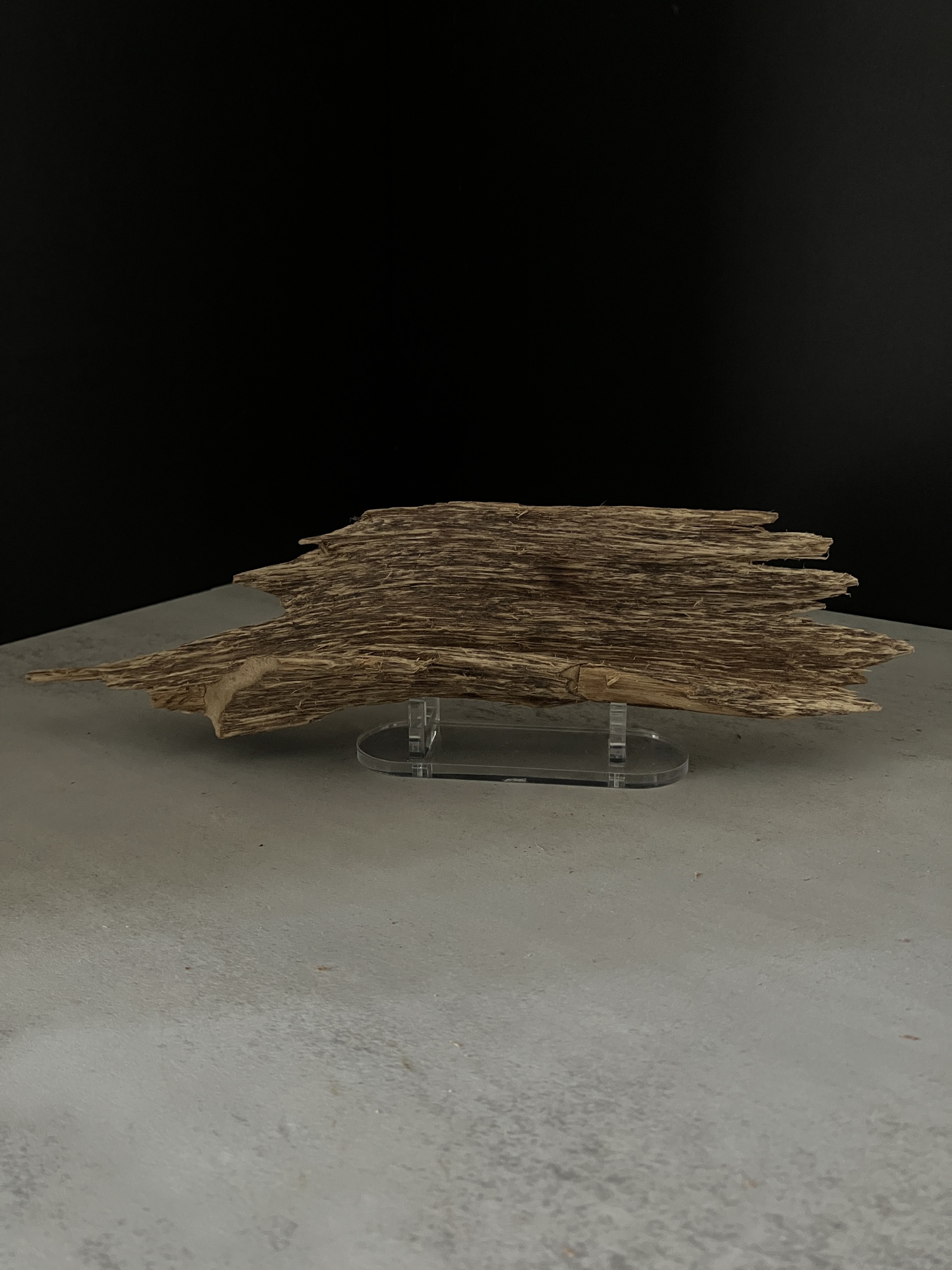 image_5F4FDE05-51DC-442B-9399-52CAFB72E0B5_1770102145