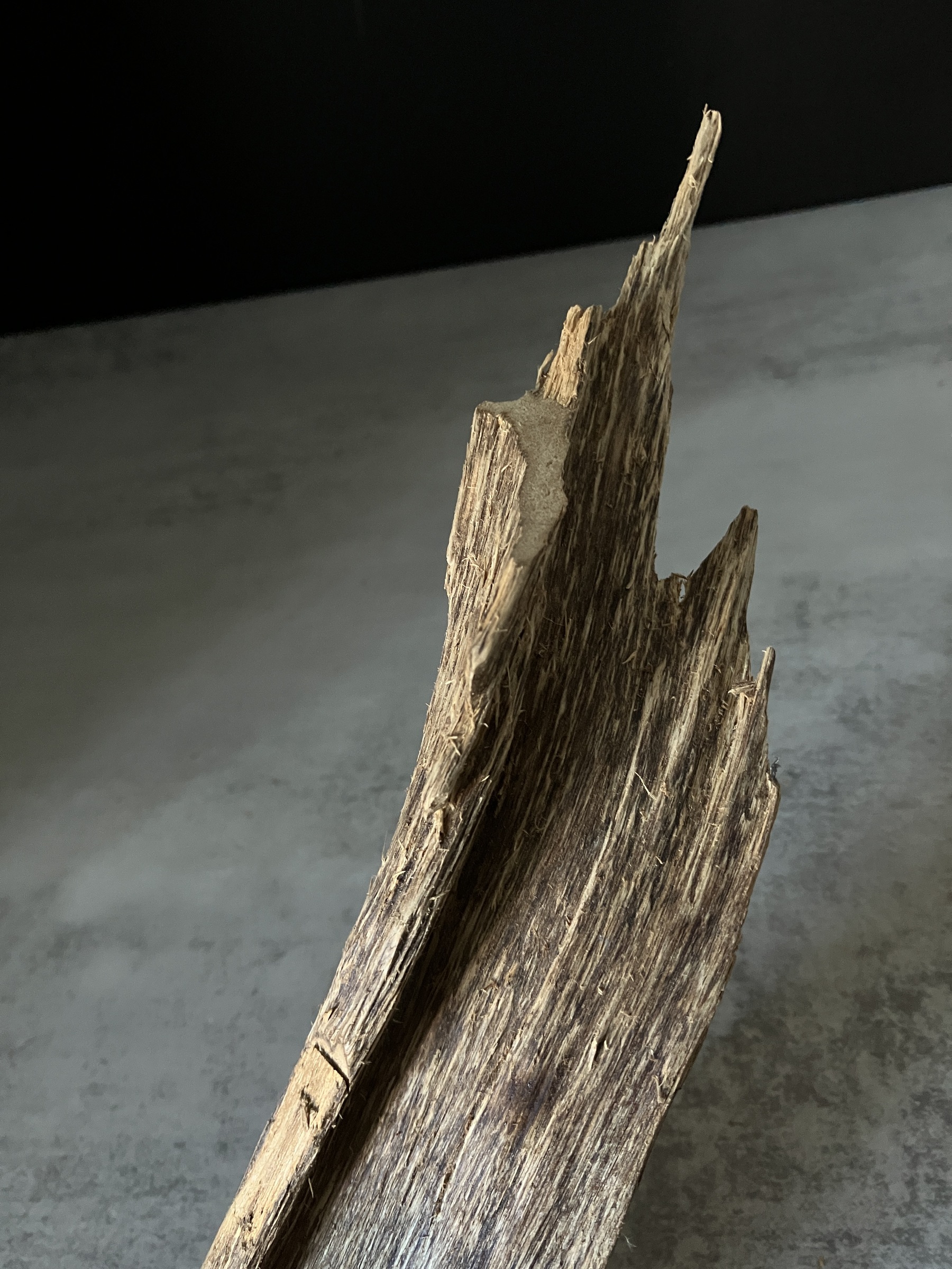 image_46BA5854-2FDD-4620-A2CF-ABF576E356CC_1770102145