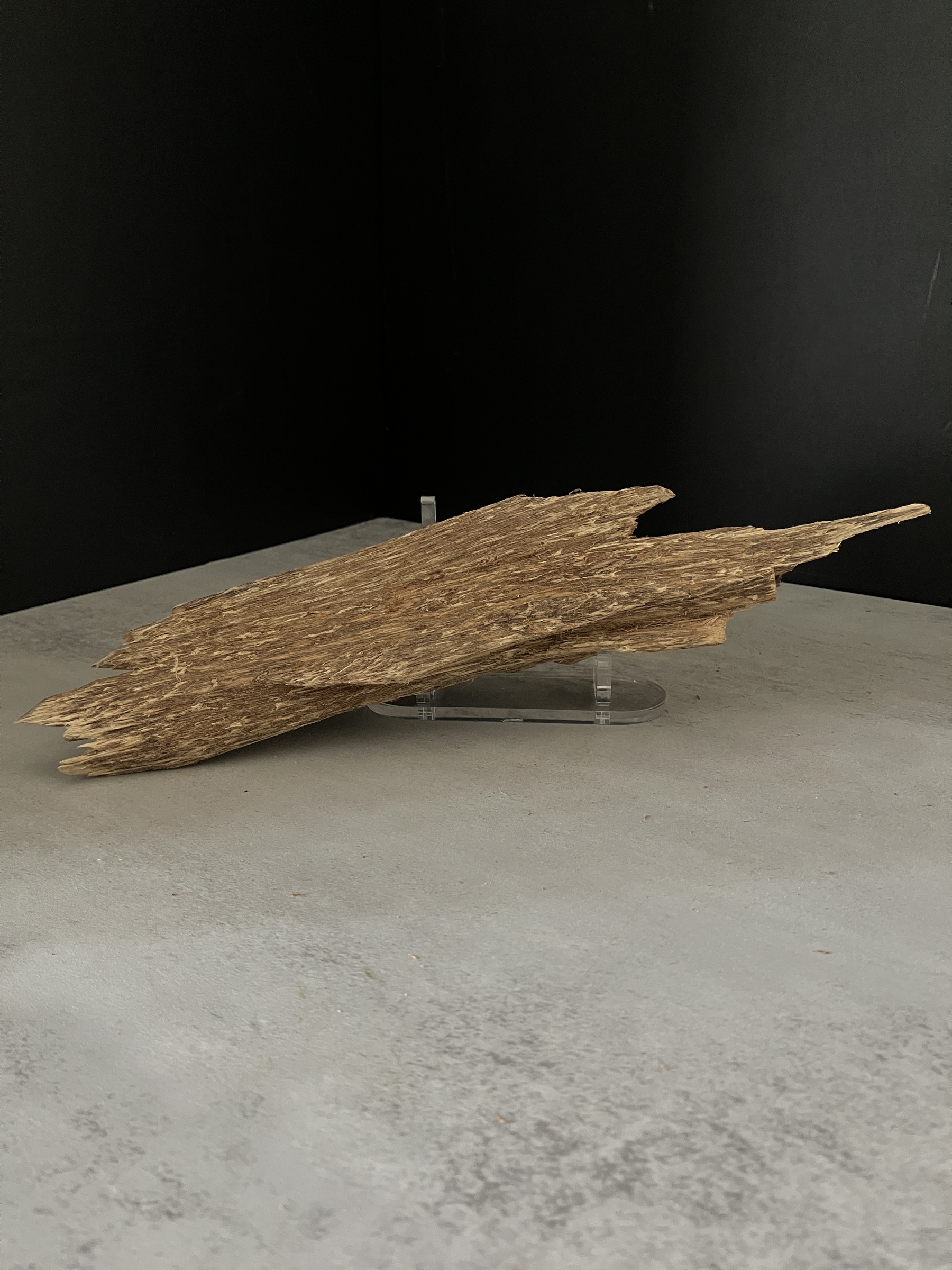 image_E66E3F9D-8DCE-4FC4-AE49-86805A8701A5_1770102145