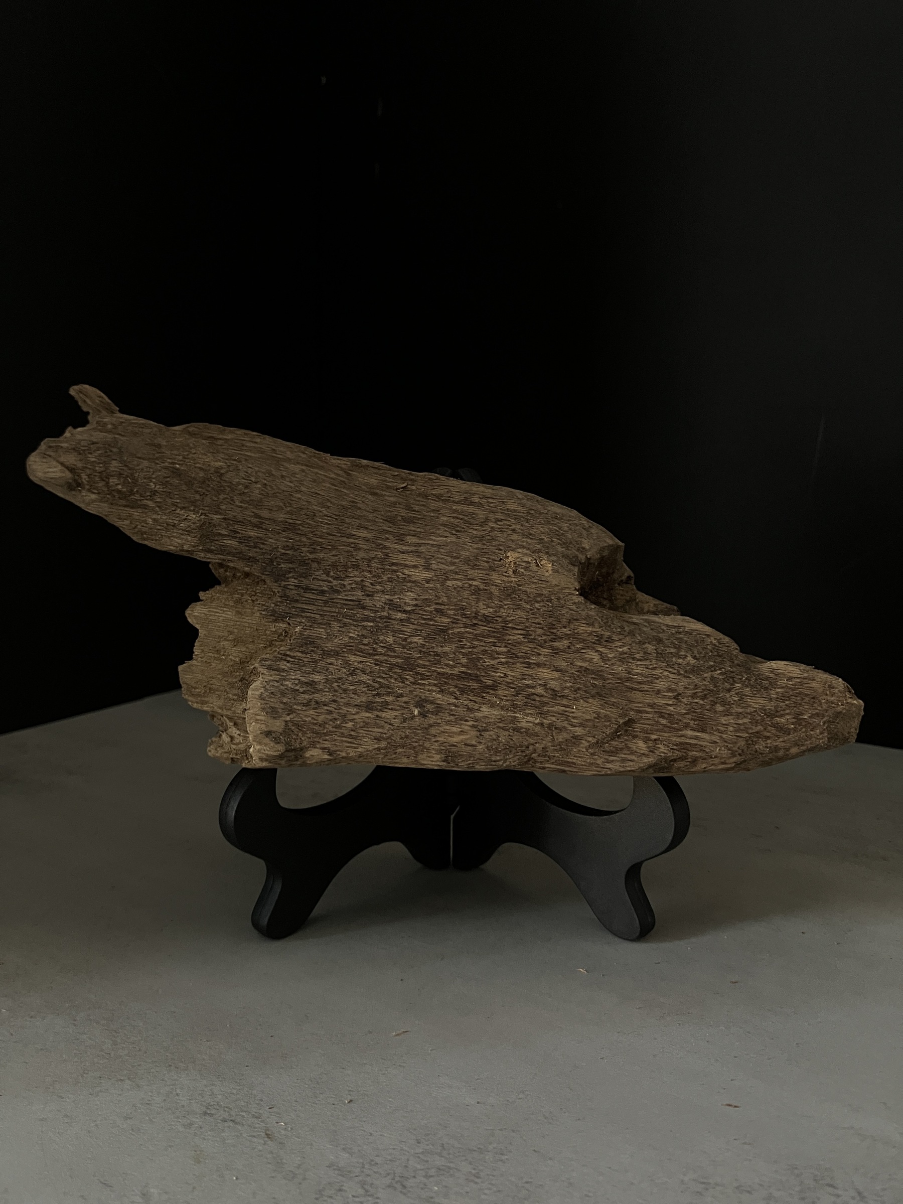 image_FD486C6F-3ED2-4804-8CA2-4793CC2FAC38_1770102260