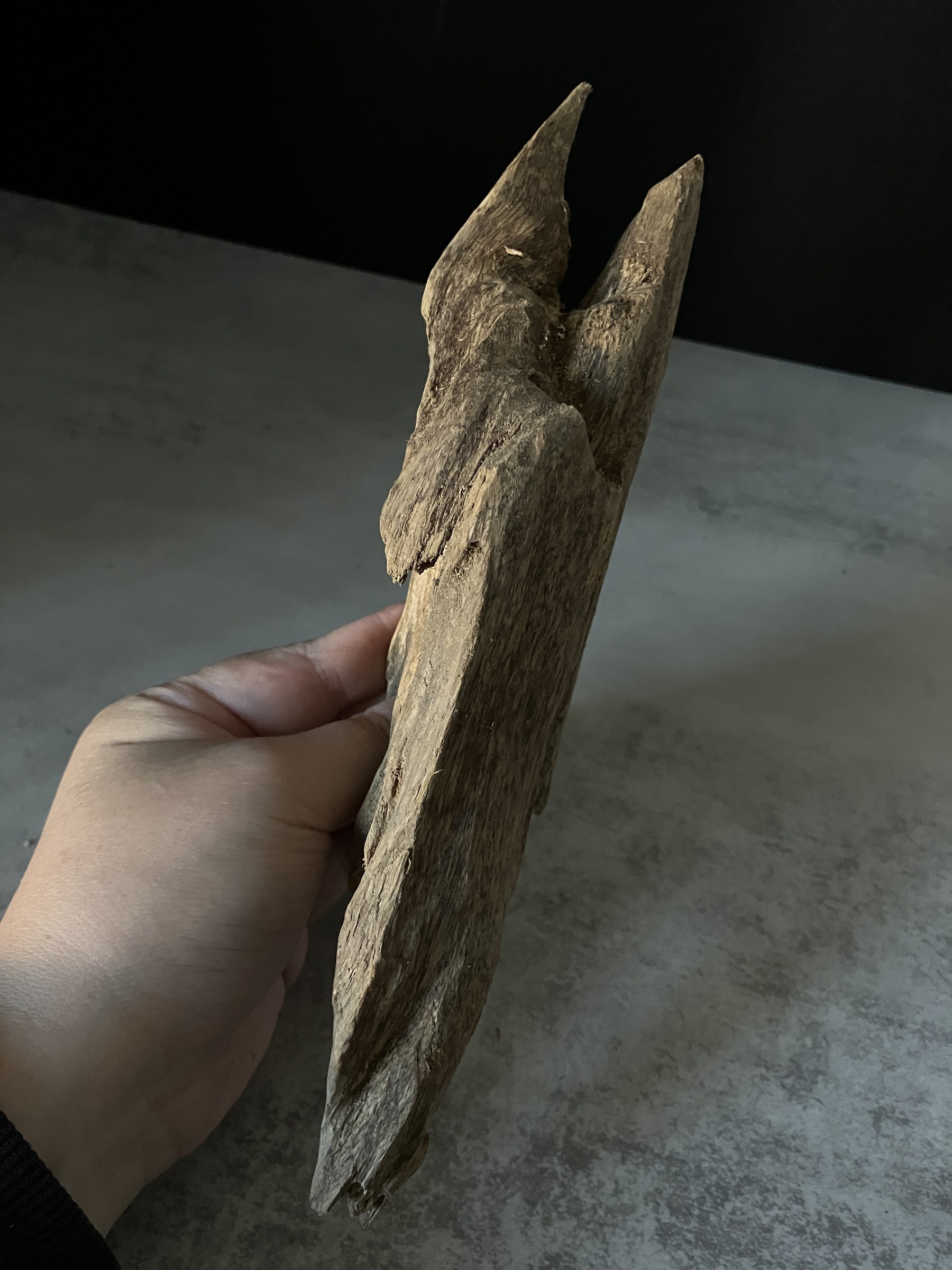 image_3212DB59-13DE-4FED-8E26-9CF7451D9249_1770102260