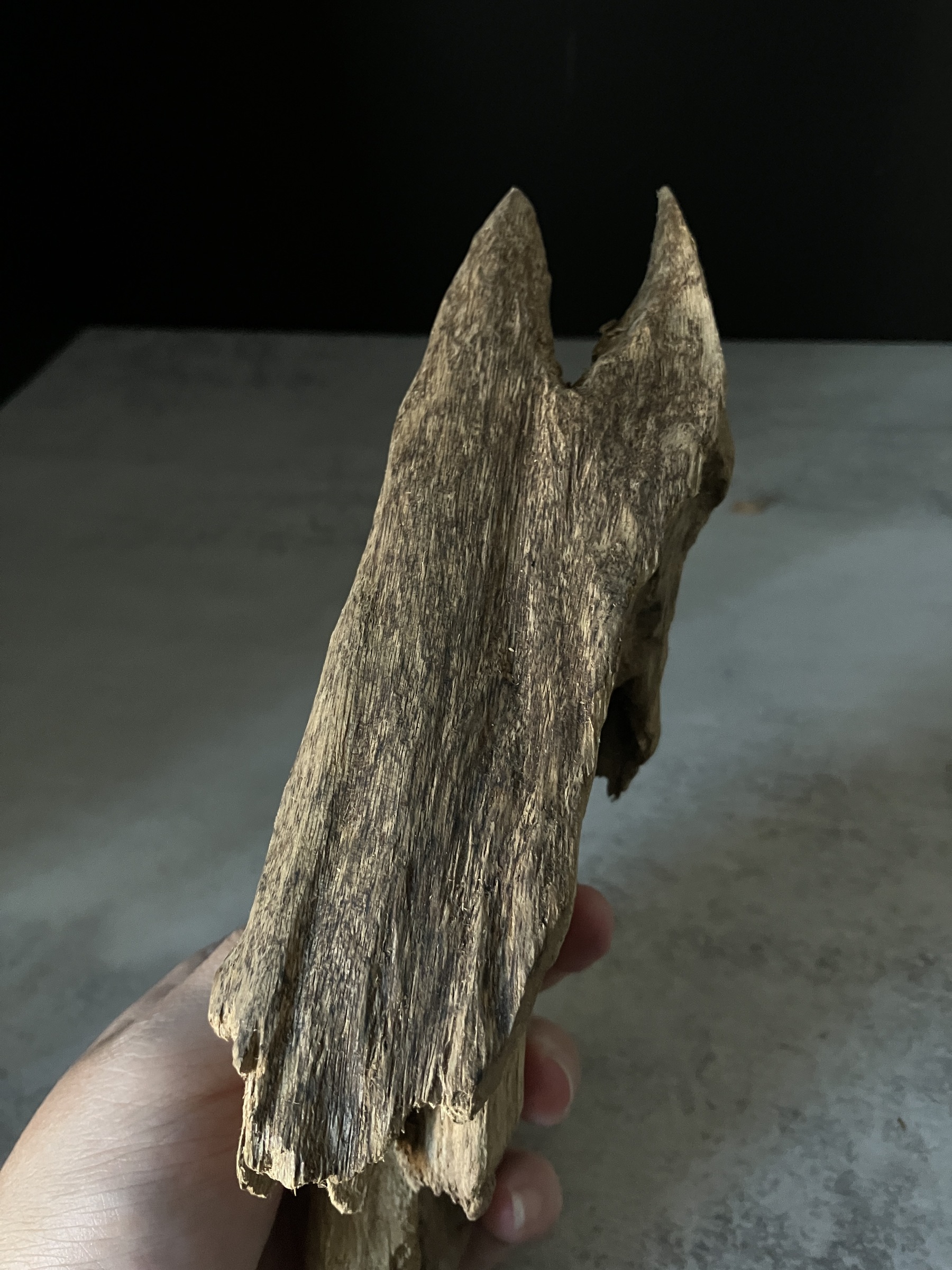 image_C5B30E27-419C-4153-B5D3-686A14F30F3A_1770102260