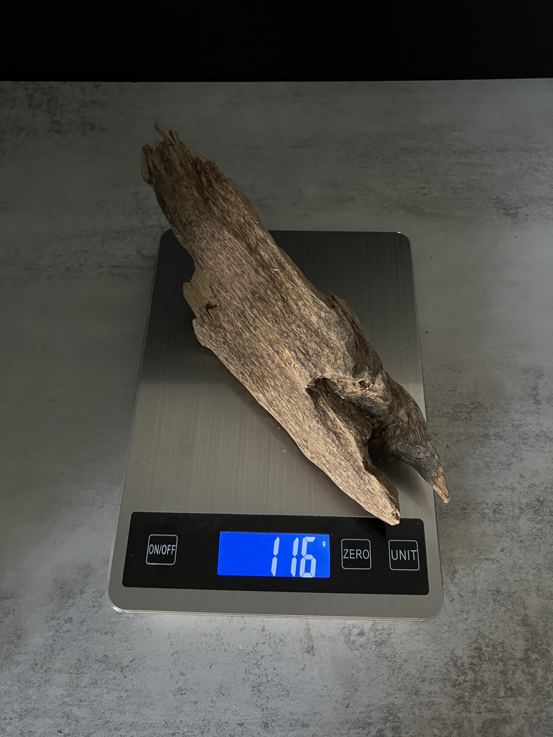 image_7D263937-2719-464D-AE49-765FA8A324F1_1770102260