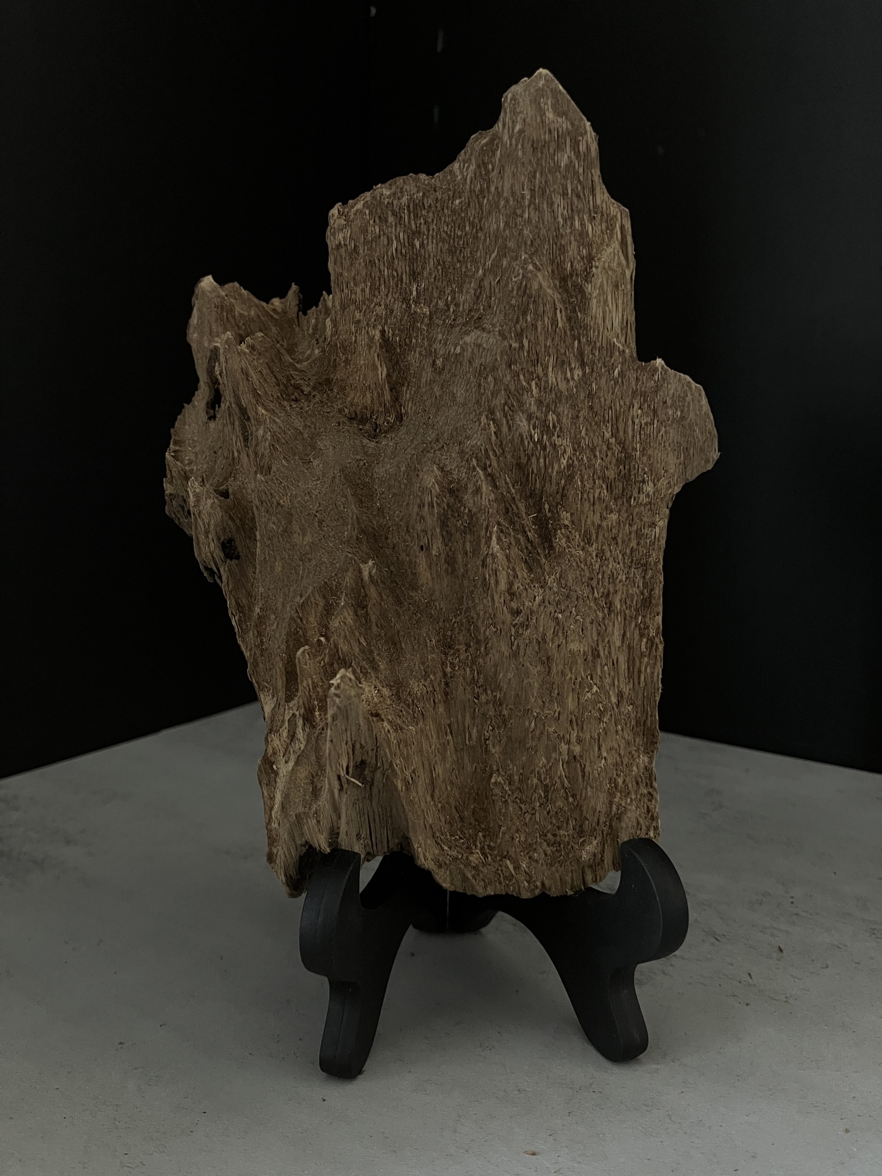 image_08B6E799-1B44-4EEE-8388-6798B13007E8_1770102357