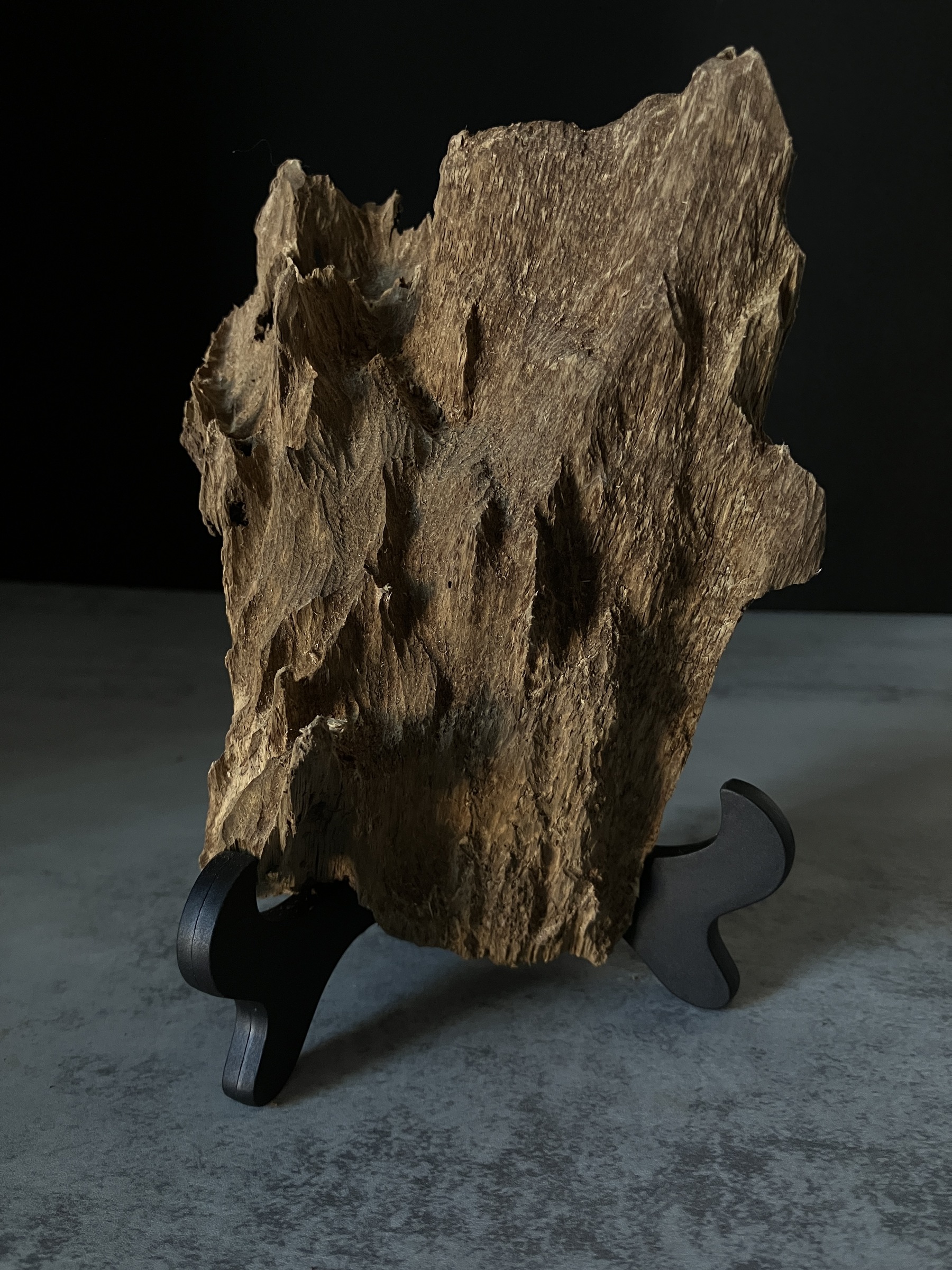 image_2276F2A4-19EA-4158-A1C8-0C03BF49A659_1770102357