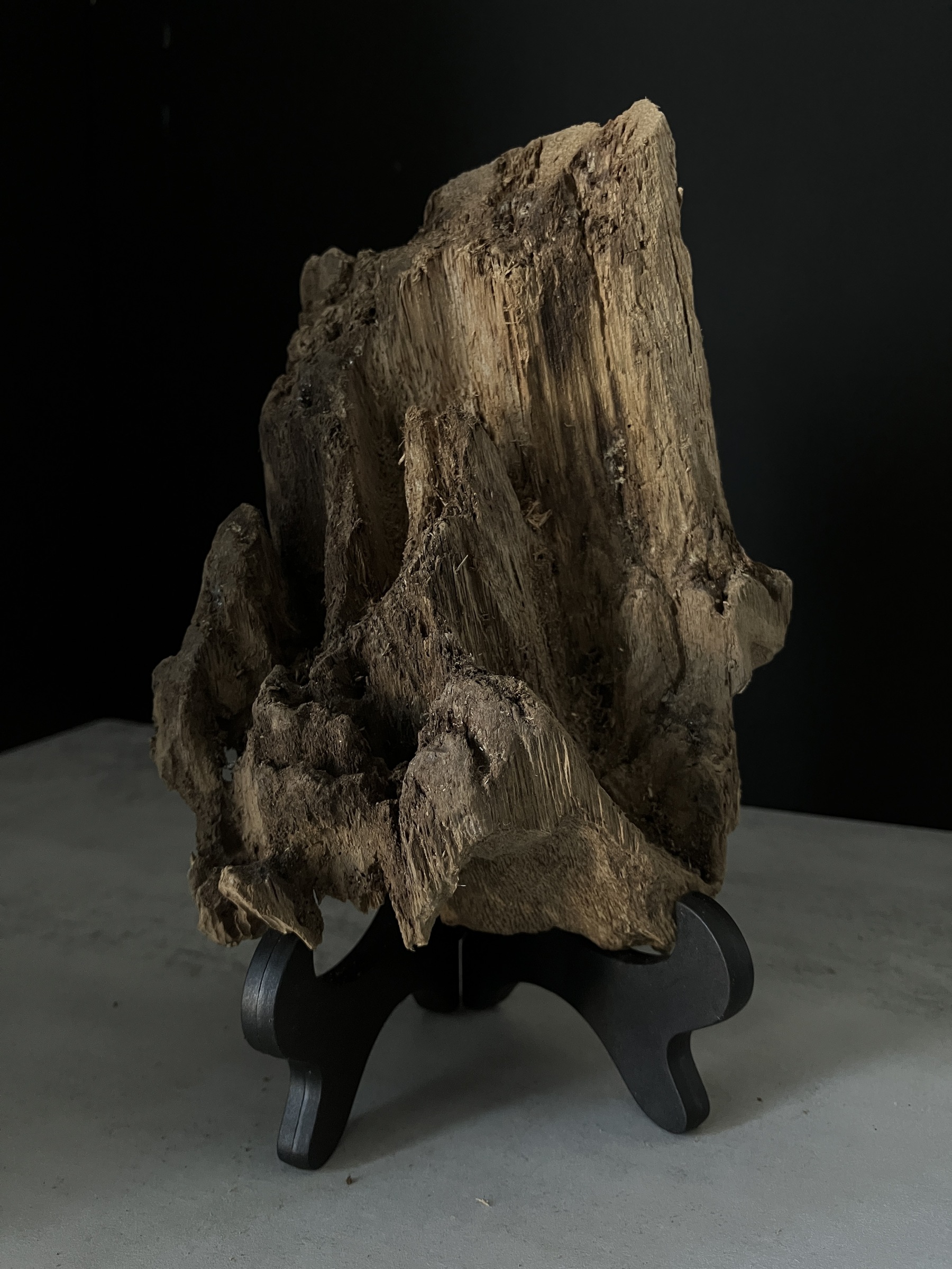 image_27465A01-0F22-4494-83F3-69305E3033E9_1770102357