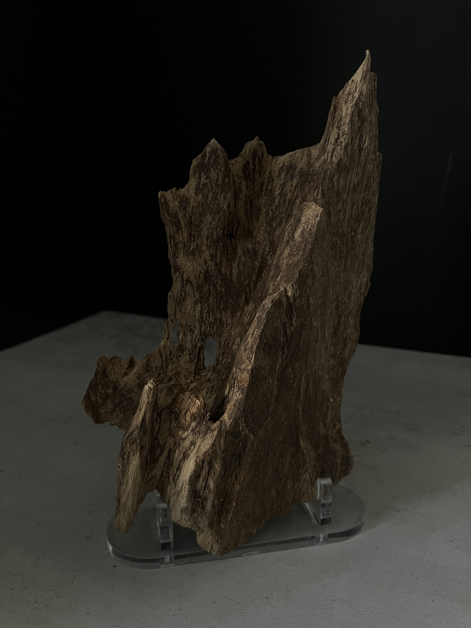 image_A08908CB-7DD7-46A1-BE8D-9397F3425C97_1770102441