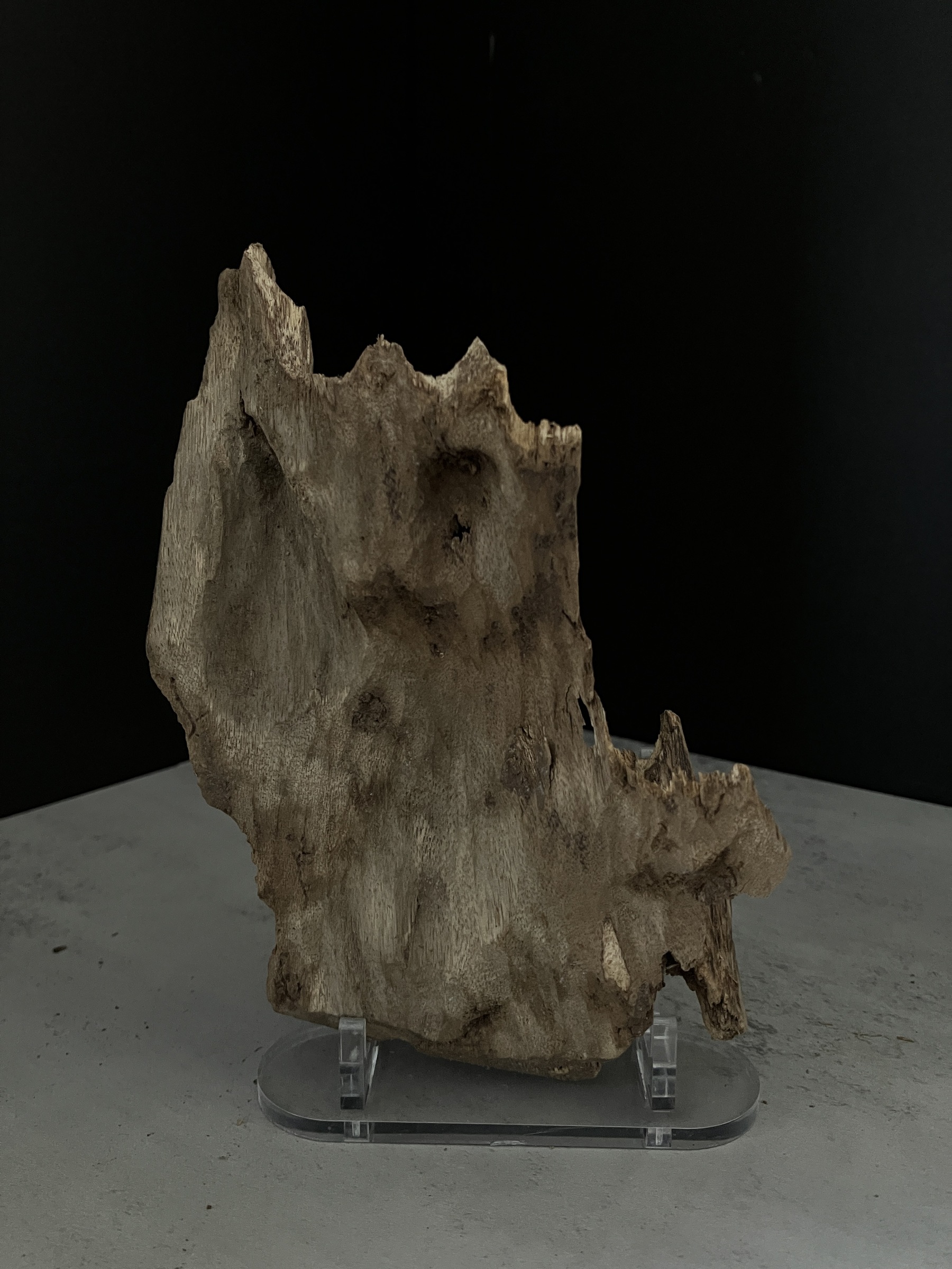 image_D8DB5F0E-6829-4F49-B12C-DC2FFFABD073_1770102441