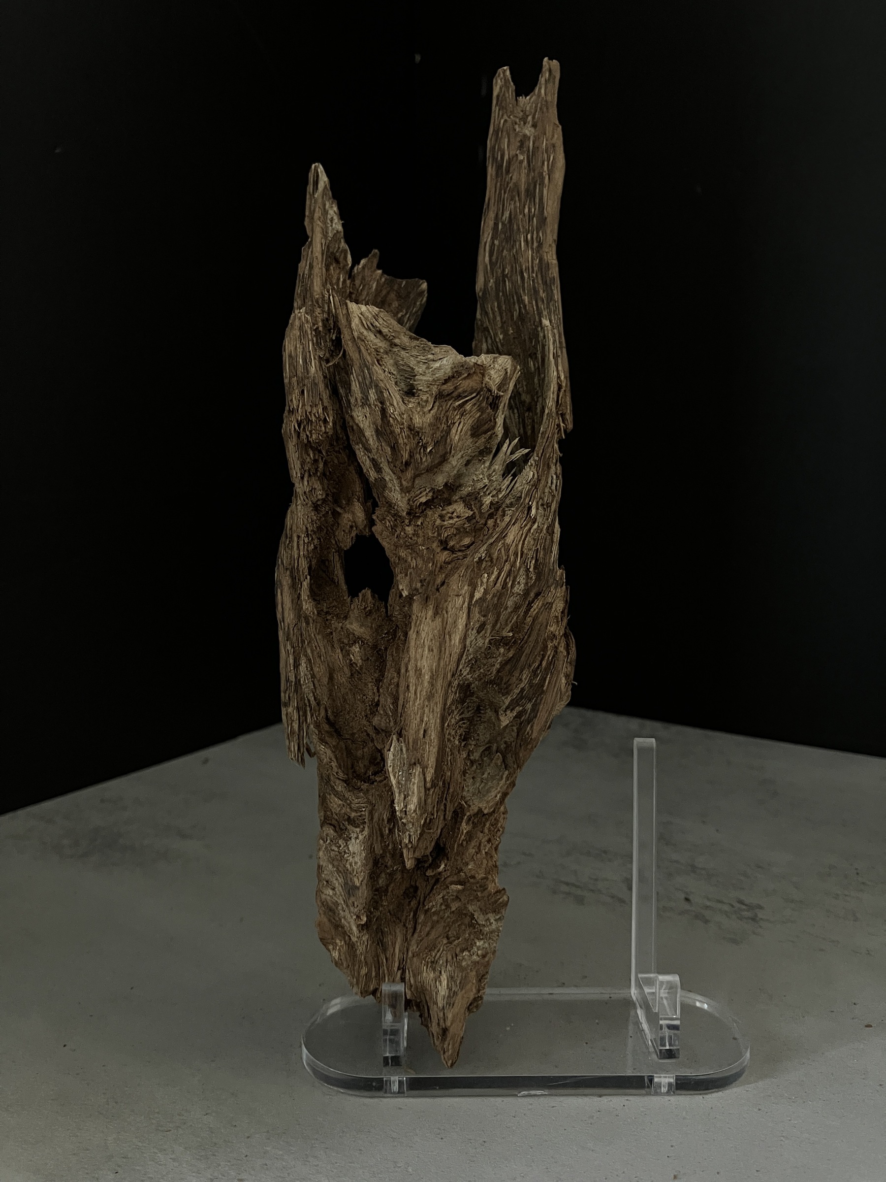 image_C67D1B90-BBB9-42FA-A329-A42F3F322AF4_1770102524