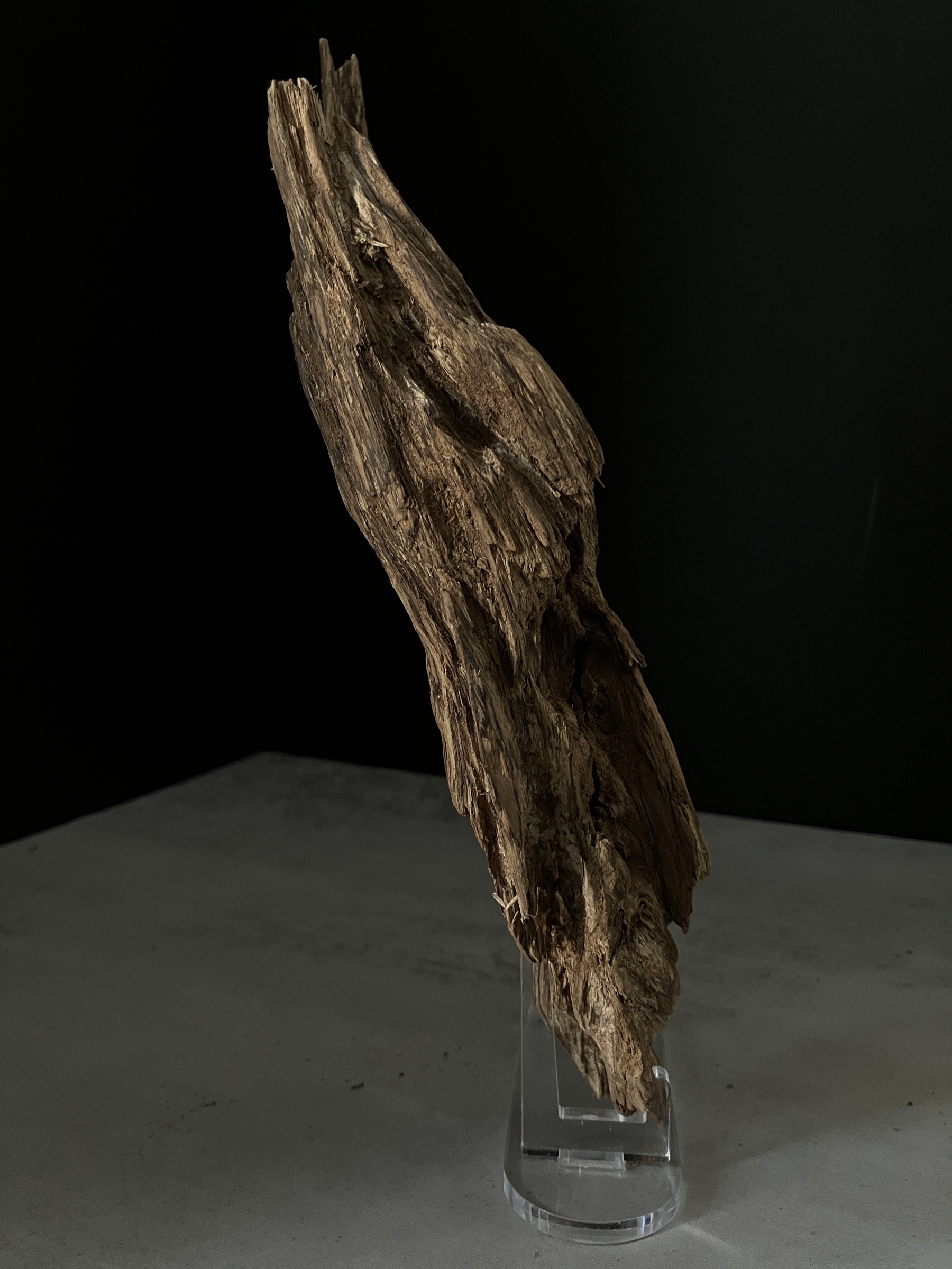 image_B6D9FA3A-483E-4CC7-B513-696D8EA893F3_1770102524