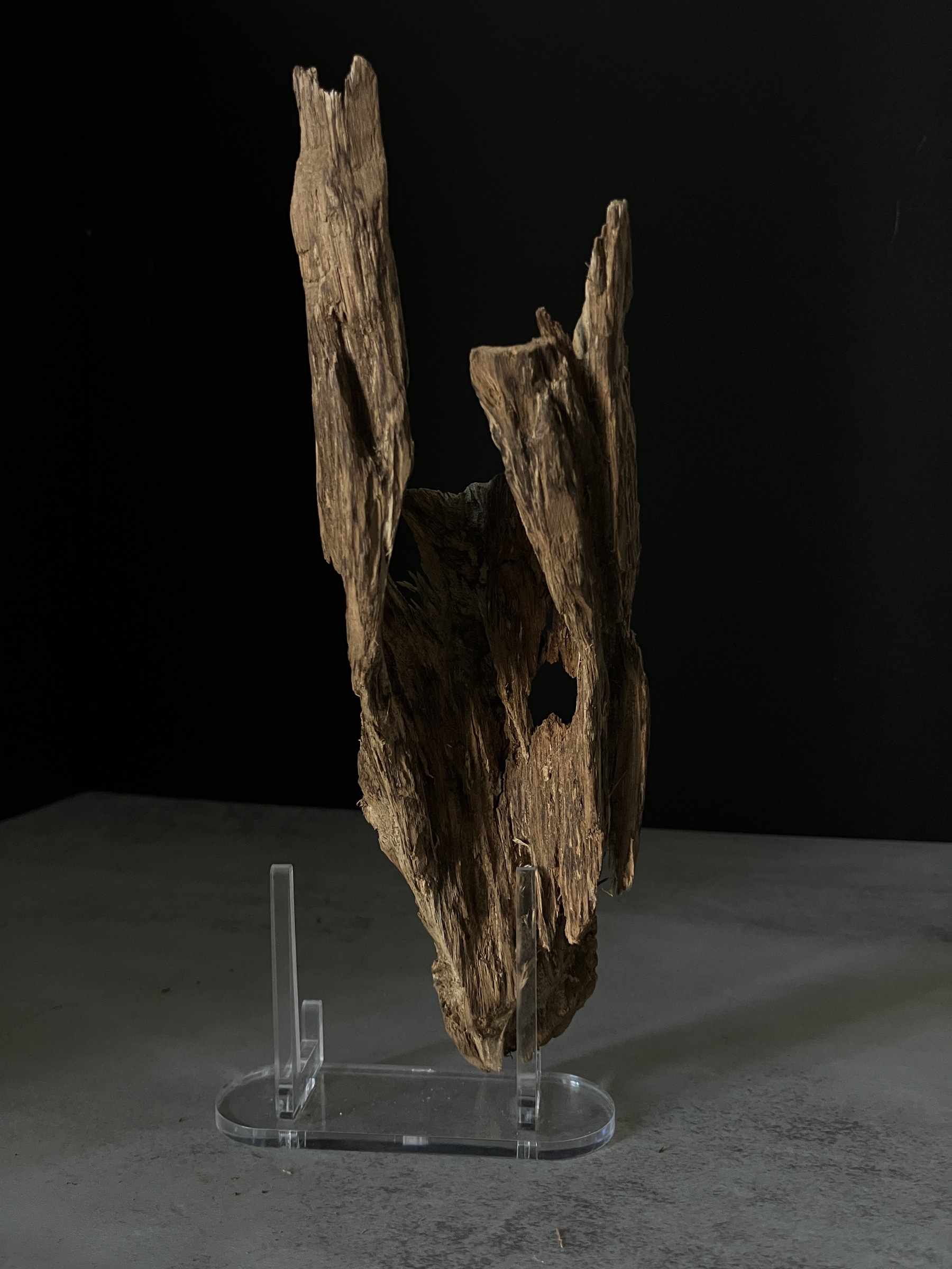 image_C32112E1-AE87-4C97-A4B1-00A6BF527DB0_1770102524