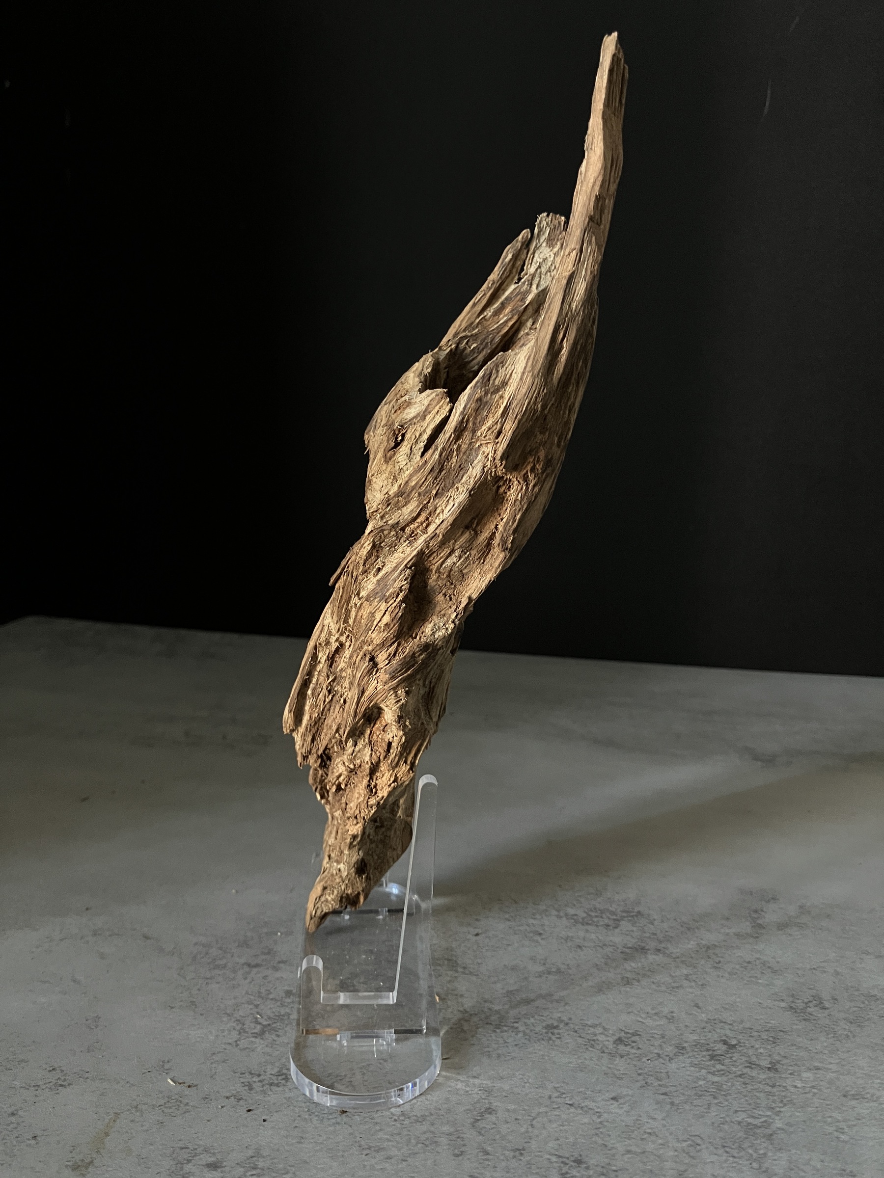 image_25BAFC87-4FB7-4C2B-A306-79A929D495E5_1770102524