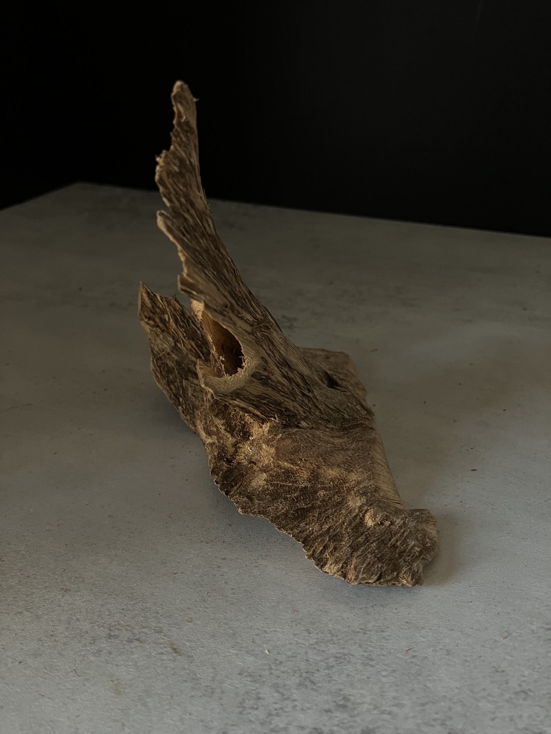 image_6236AA90-12E0-4BE7-B227-F3F35EA61E83_1770102599