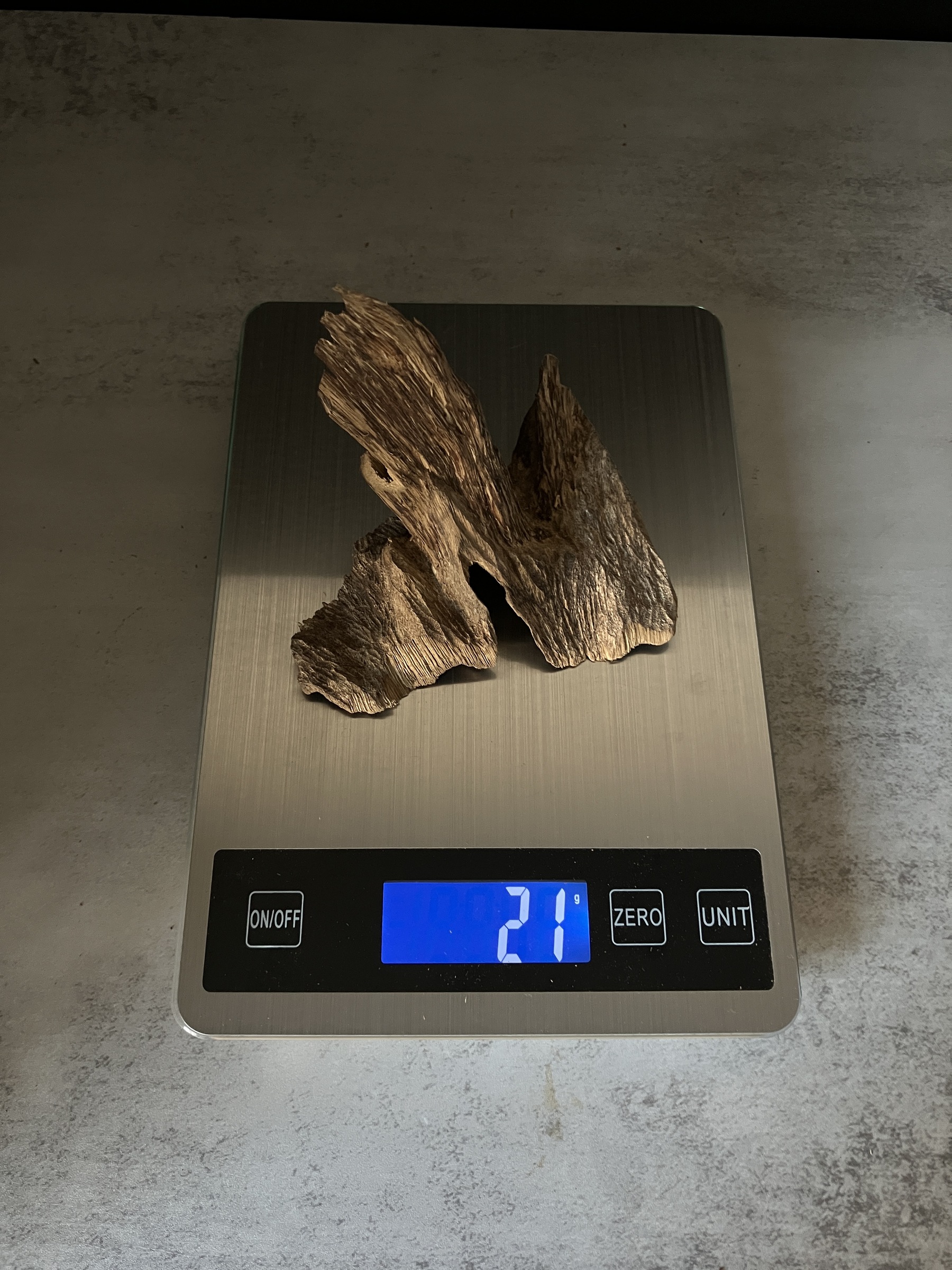 image_AF150513-DDD6-48DA-85DB-EFE4E4048F12_1770102599