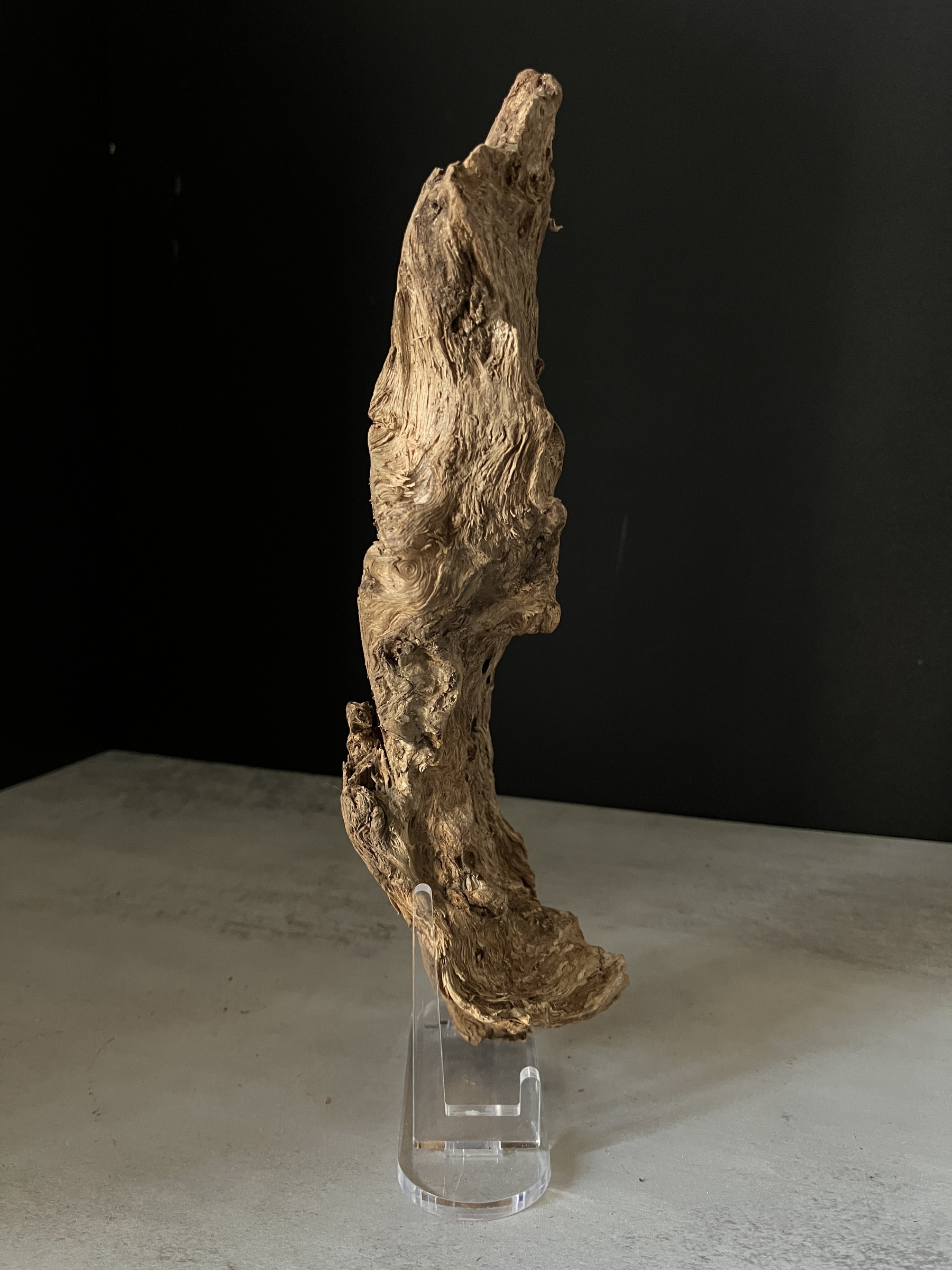 image_21C57545-EC48-4AA9-B192-F0EE053CAA7B_1770102710