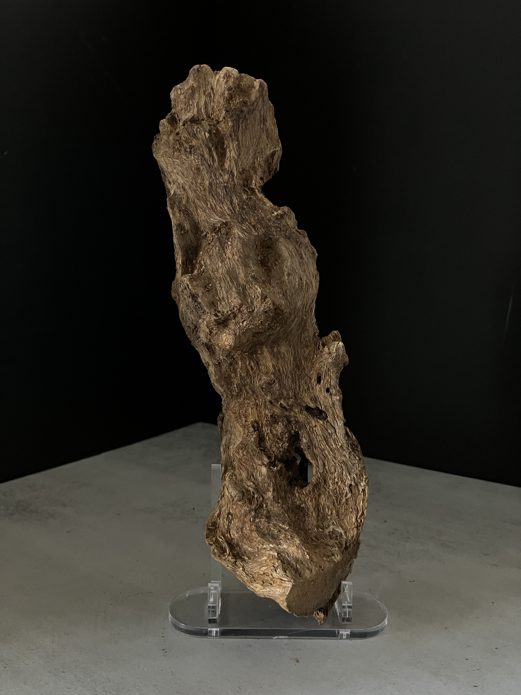 image_74F511B9-5DCA-497E-A7F6-759AFAA85E8E_1770102710