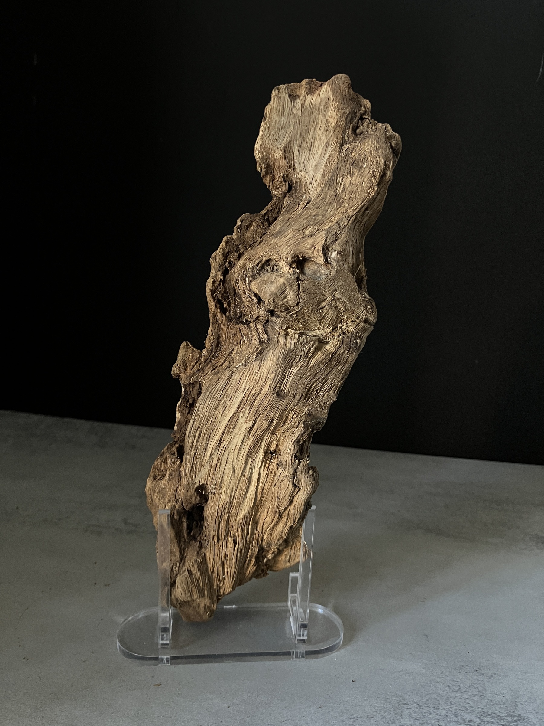 image_F4AB45C0-17C3-481D-A21E-11AB255BA34F_1770102710