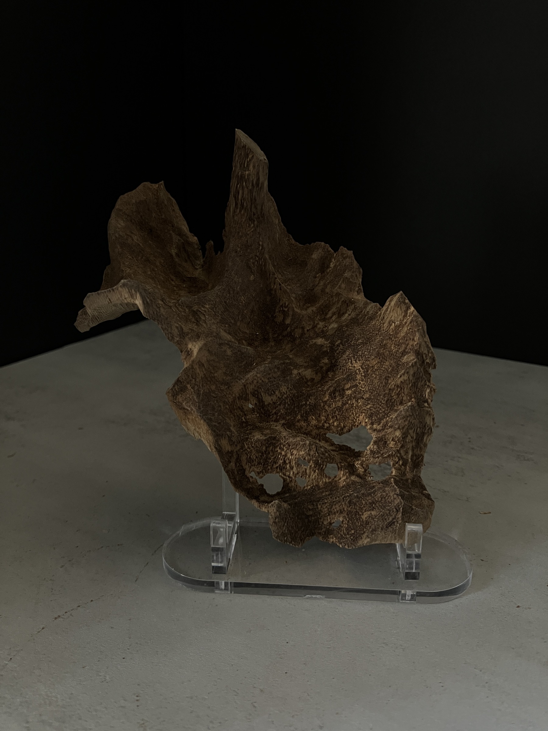 image_13C2E504-17E8-45F2-9093-71CFF96A2988_1770102791